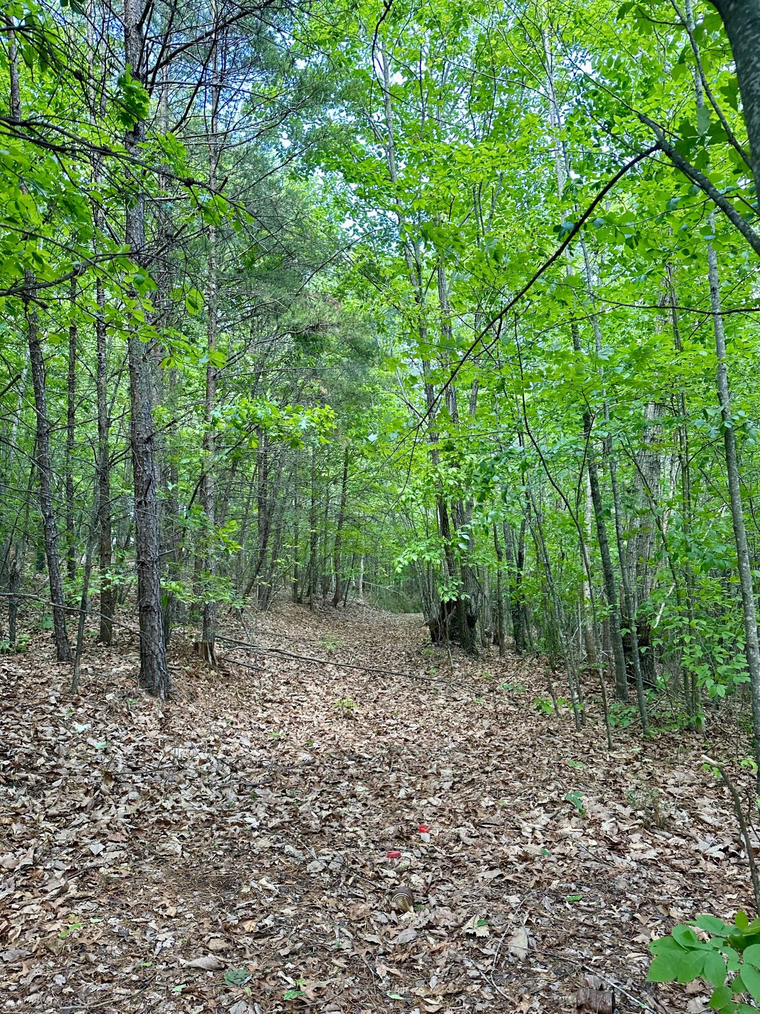 Sunset Dr Dr, Bassett, Virginia image 17