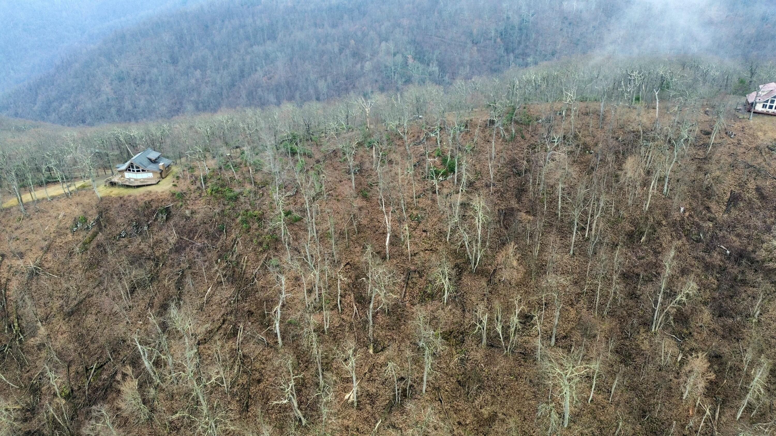 Edgeview Dr, Meadows of Dan, Virginia image 6
