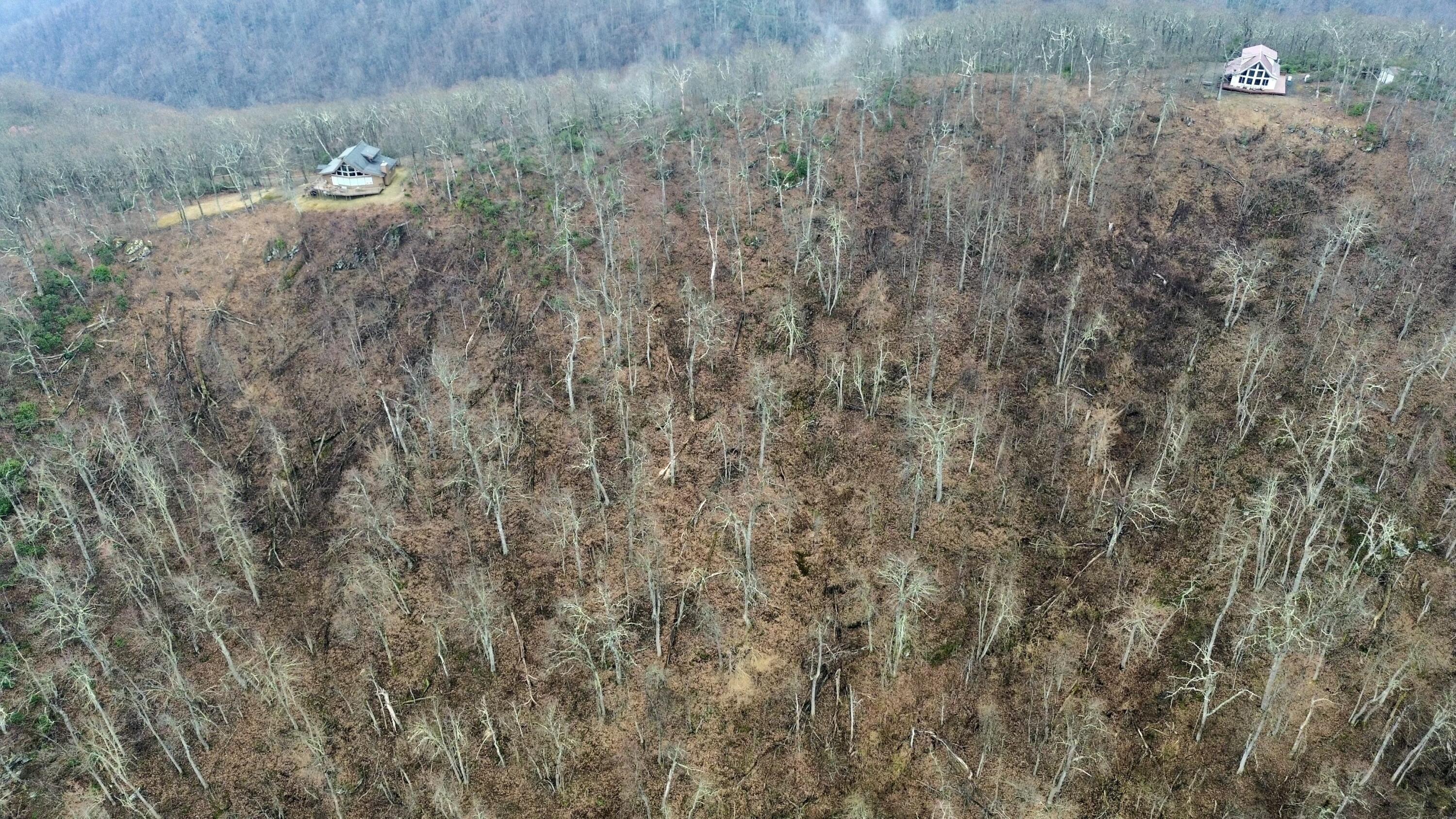 Edgeview Dr, Meadows of Dan, Virginia image 2