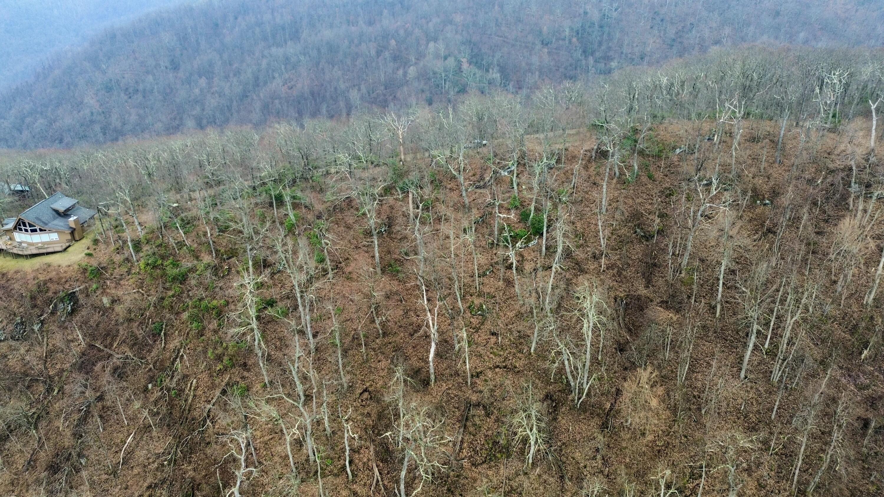 Edgeview Dr, Meadows of Dan, Virginia image 5