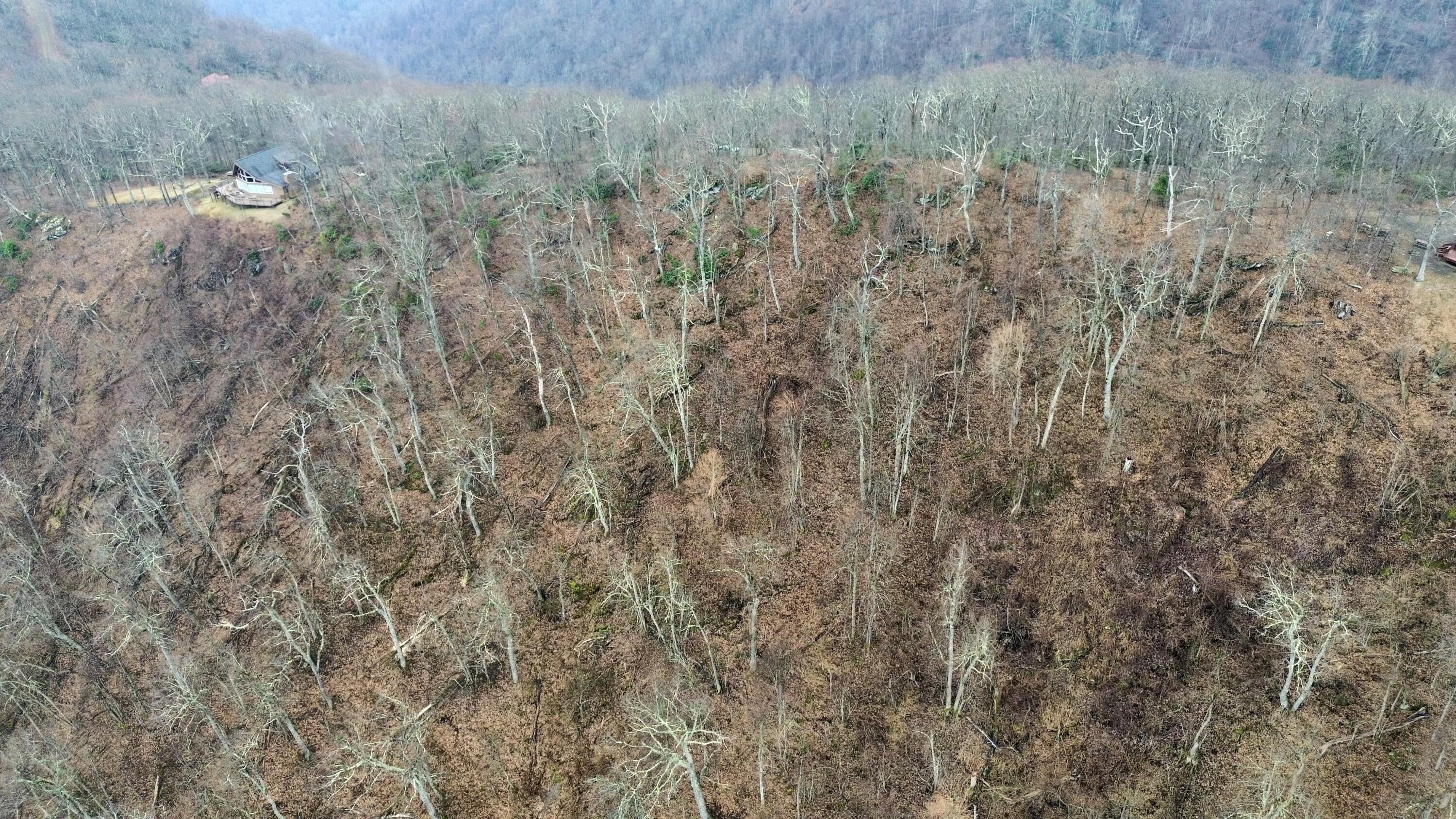 Edgeview Dr, Meadows of Dan, Virginia image 7