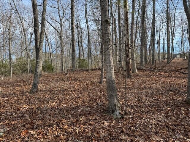 Lot 37 Chestnut Dr, Hardy, Virginia image 1