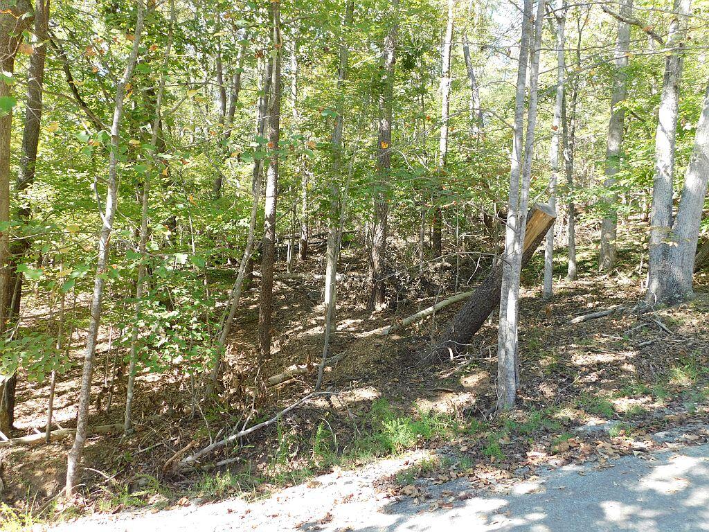 Hardy, Virginia 24101, United States, ,Land,Active,225168