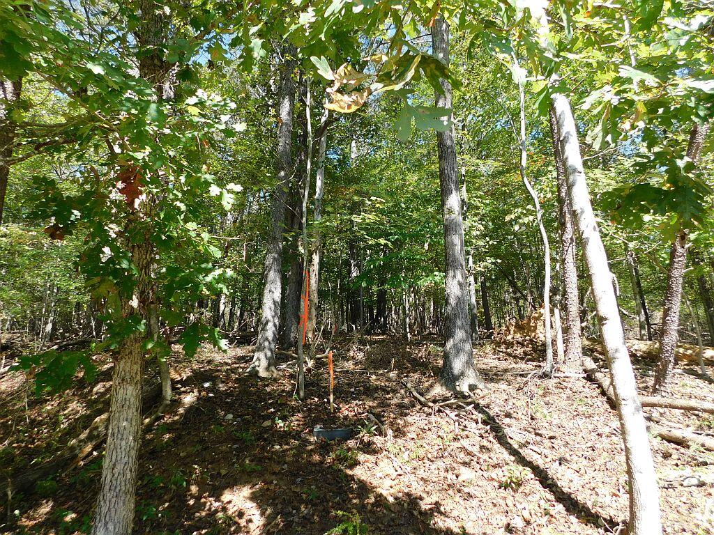 Hardy, Virginia 24101, United States, ,Land,Active,225168