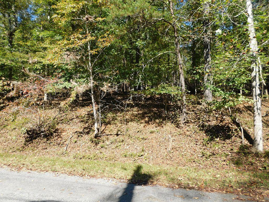 Hardy, Virginia 24101, United States, ,Land,Active,225168