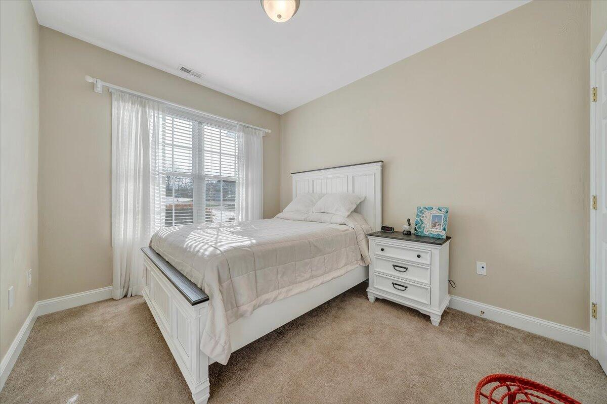 172 Cypress Ct, Roanoke, Virginia image 22