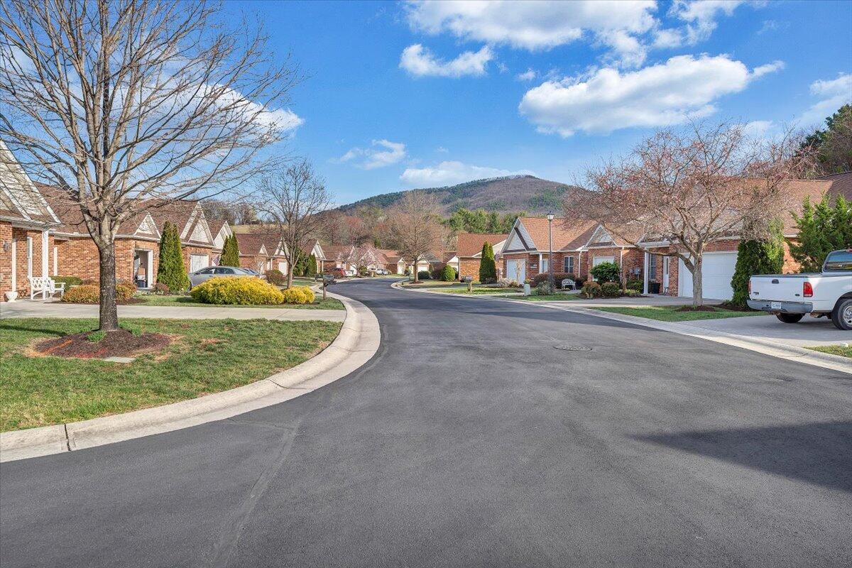 172 Cypress Ct, Roanoke, Virginia image 29