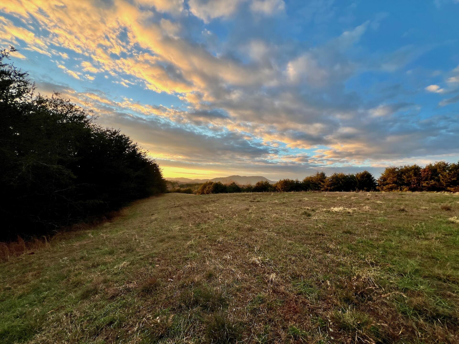 2743 Johnson School Rd, Thaxton, Virginia image 48