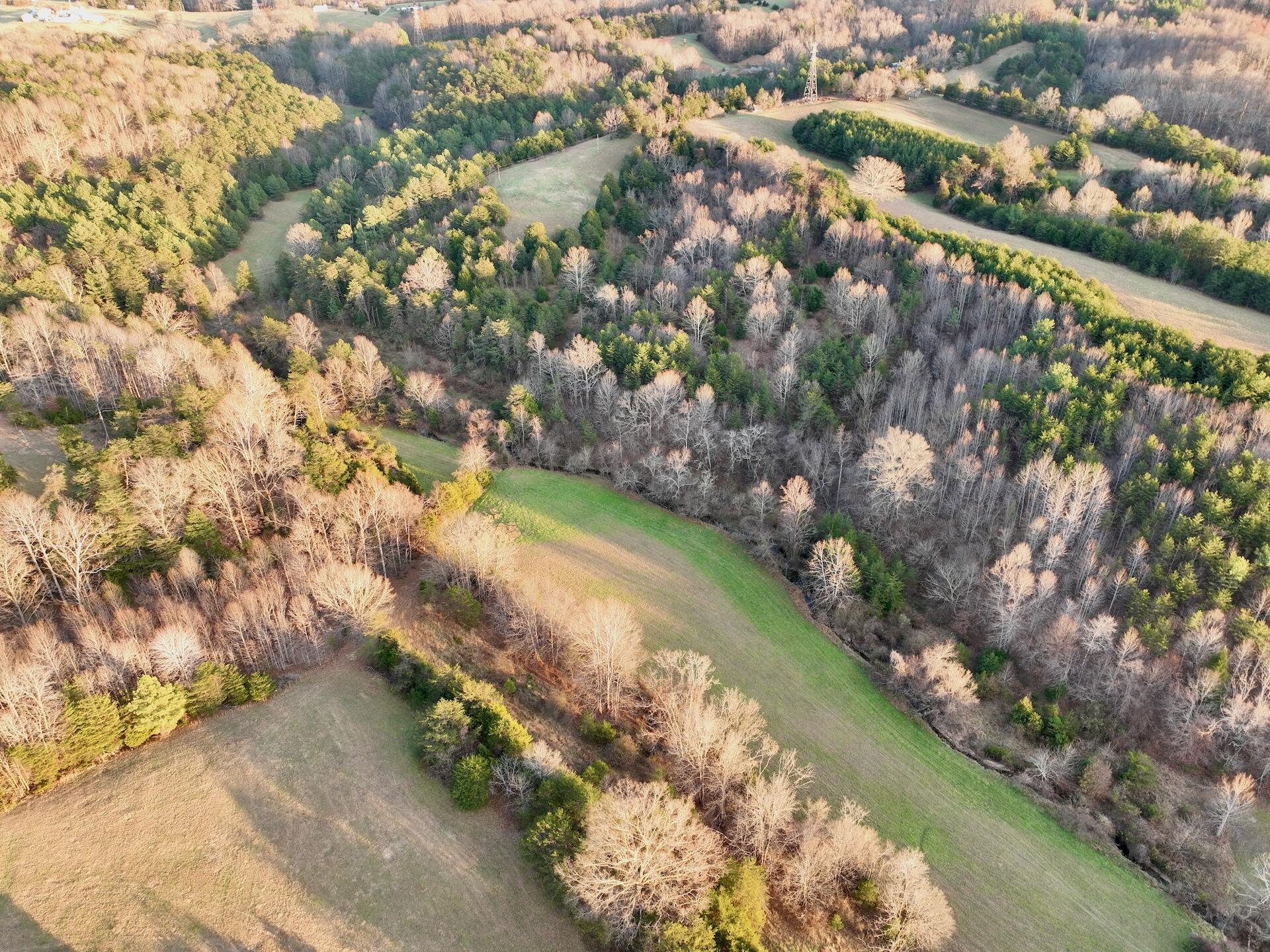 2743 Johnson School Rd, Thaxton, Virginia image 12