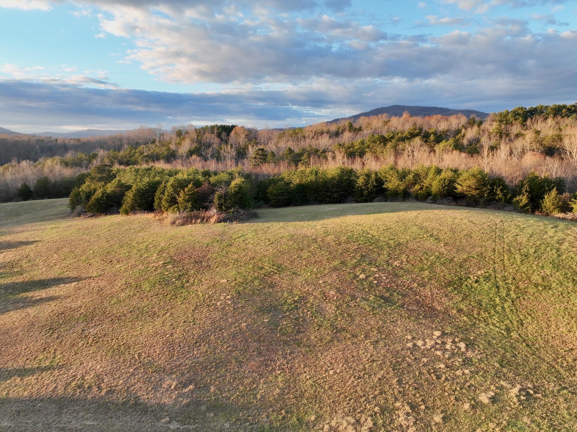 2743 Johnson School Rd, Thaxton, Virginia image 16
