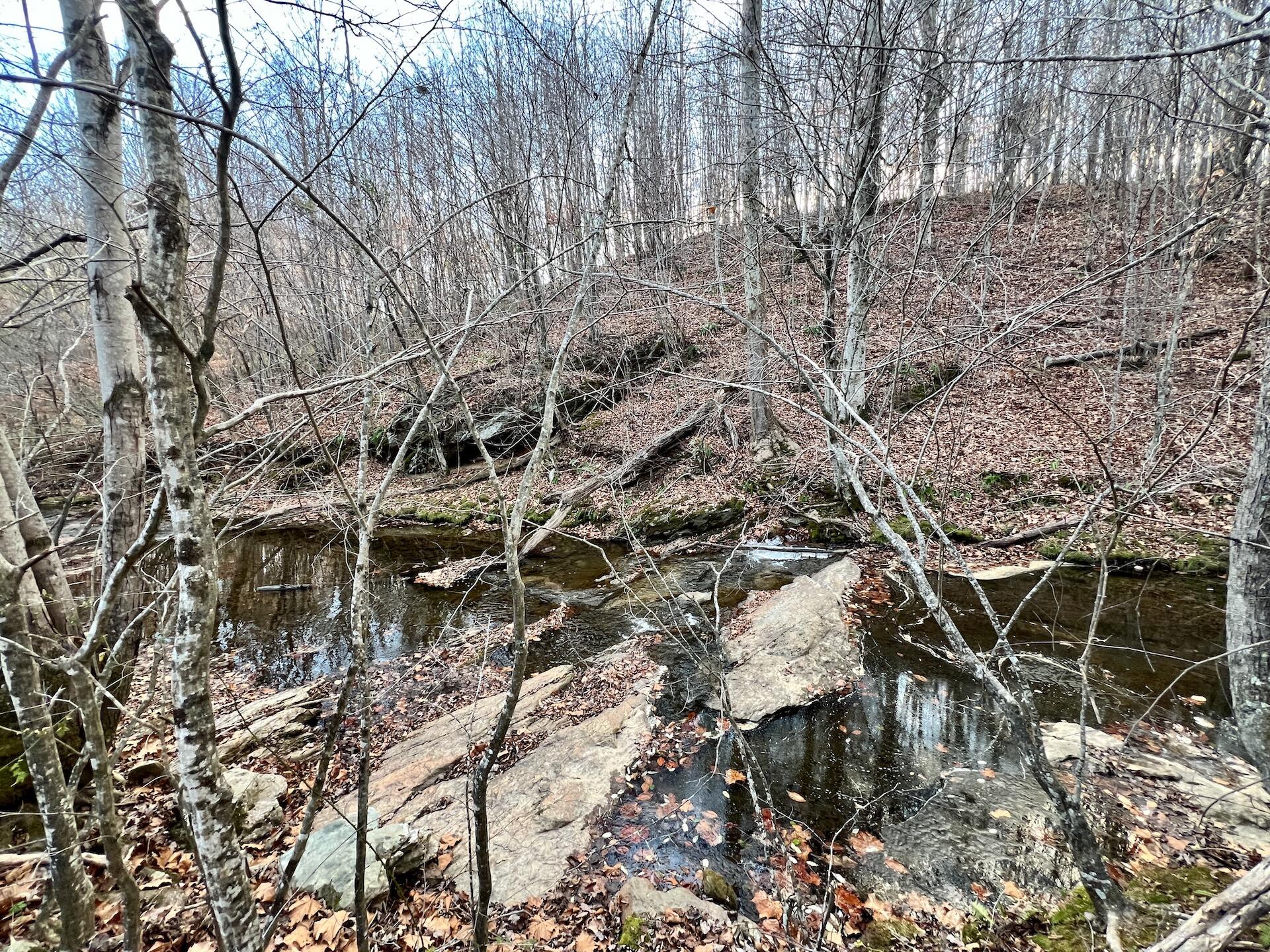 2743 Johnson School Rd, Thaxton, Virginia image 13
