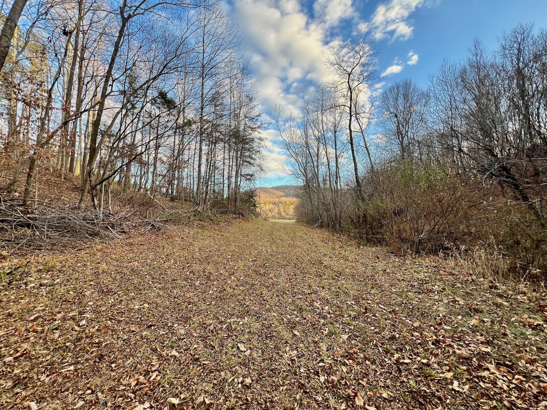 2743 Johnson School Rd, Thaxton, Virginia image 7