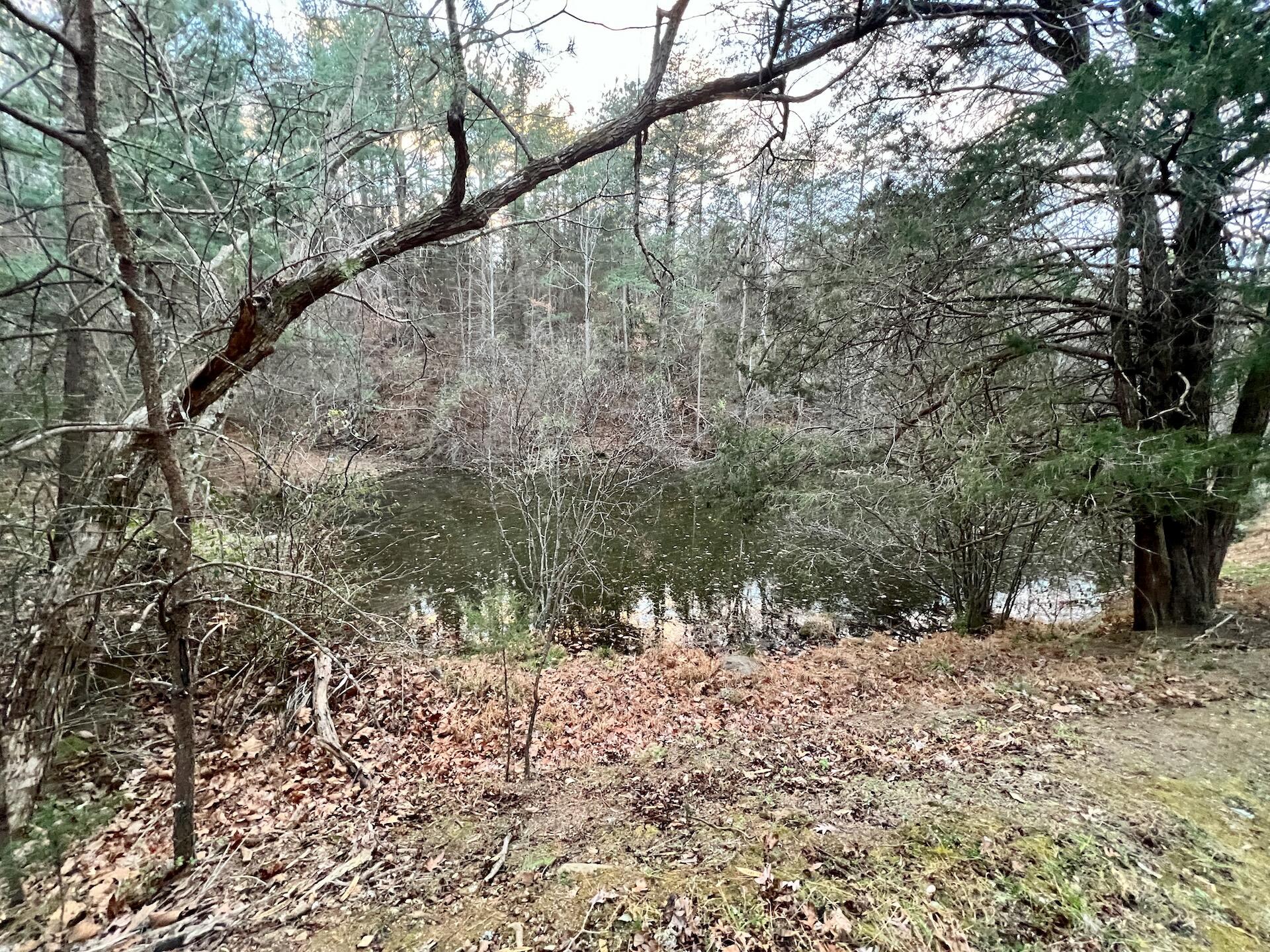 2743 Johnson School Rd, Thaxton, Virginia image 46