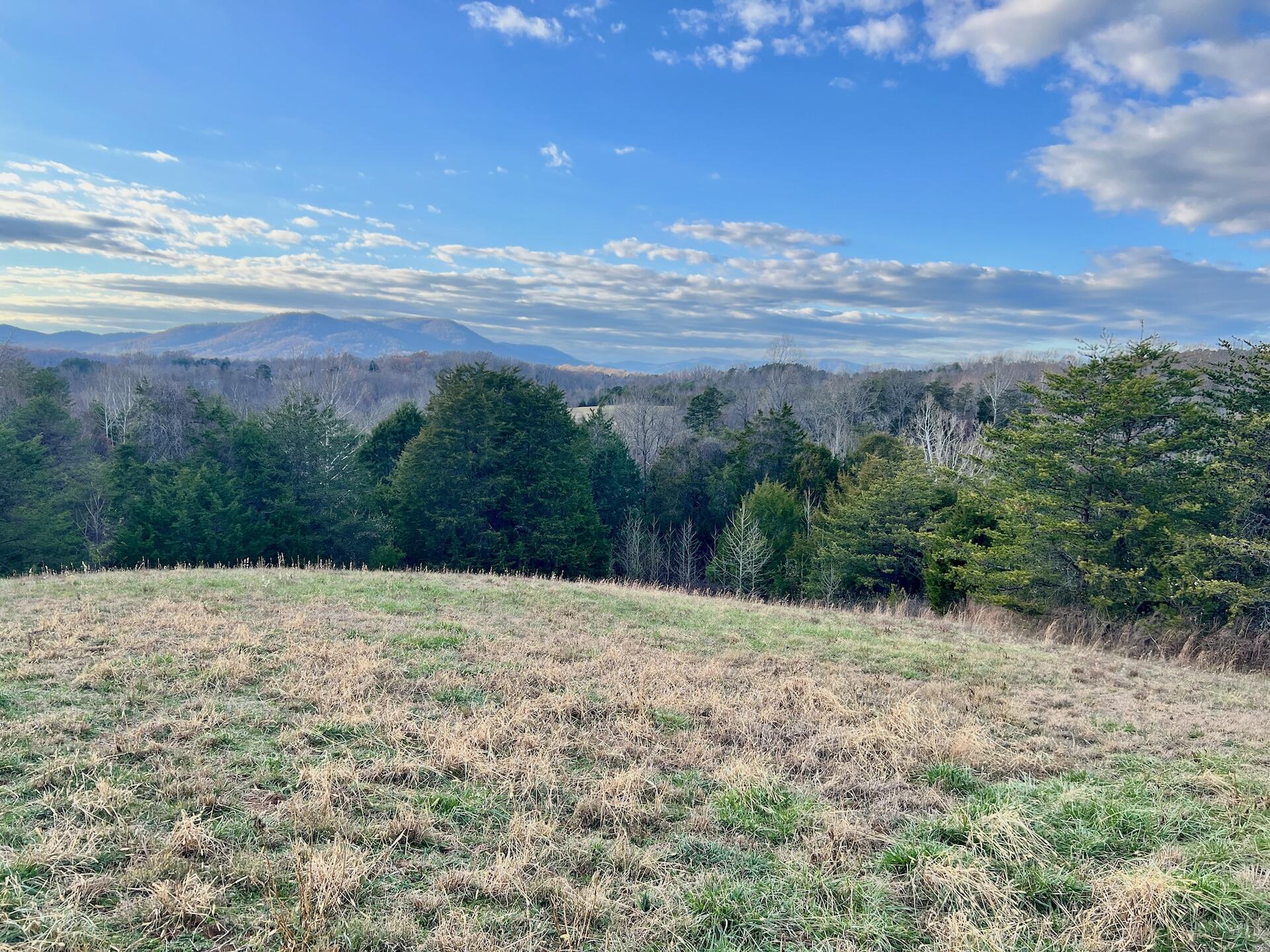 2743 Johnson School Rd, Thaxton, Virginia image 24
