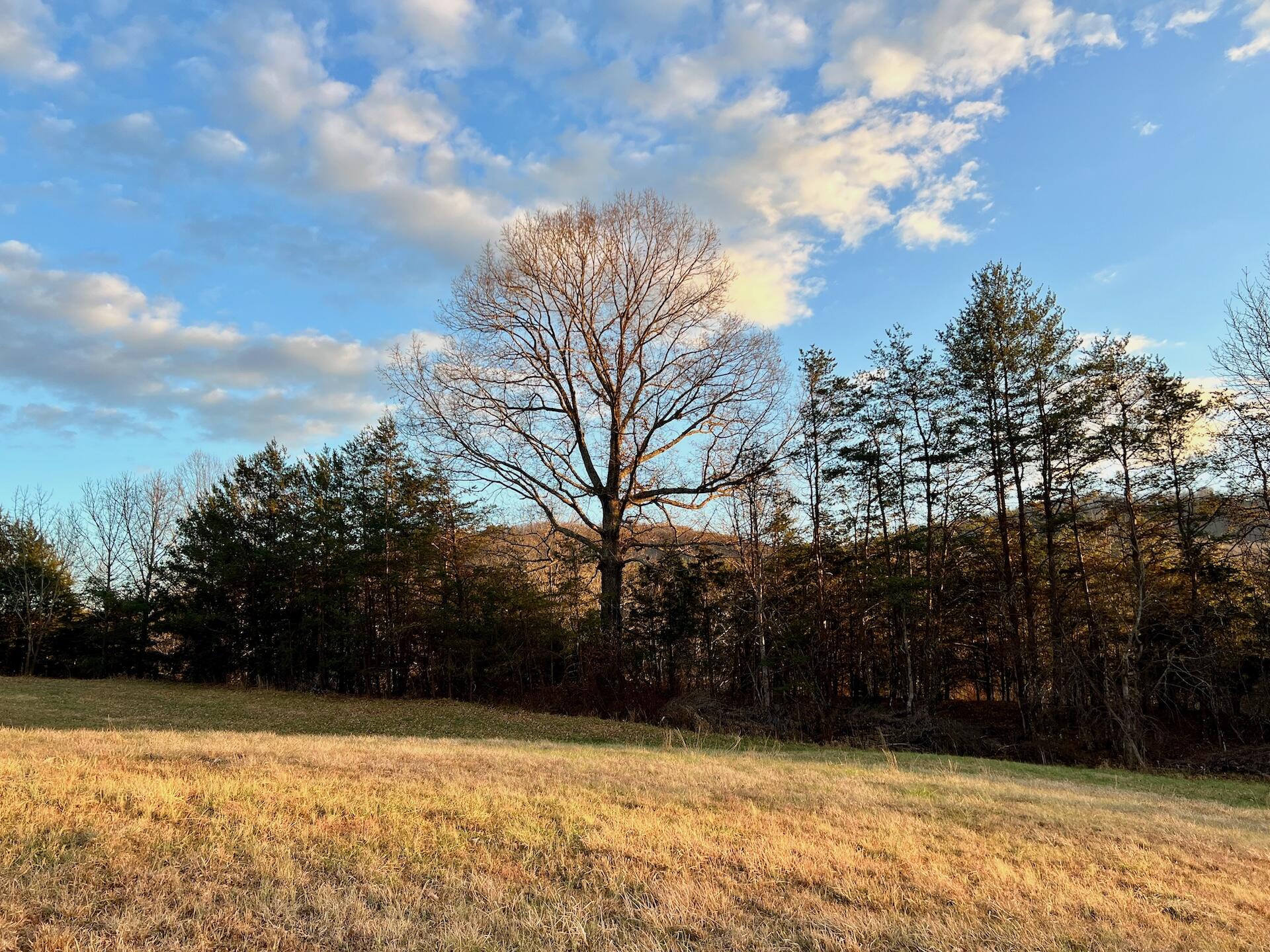 2743 Johnson School Rd, Thaxton, Virginia image 50
