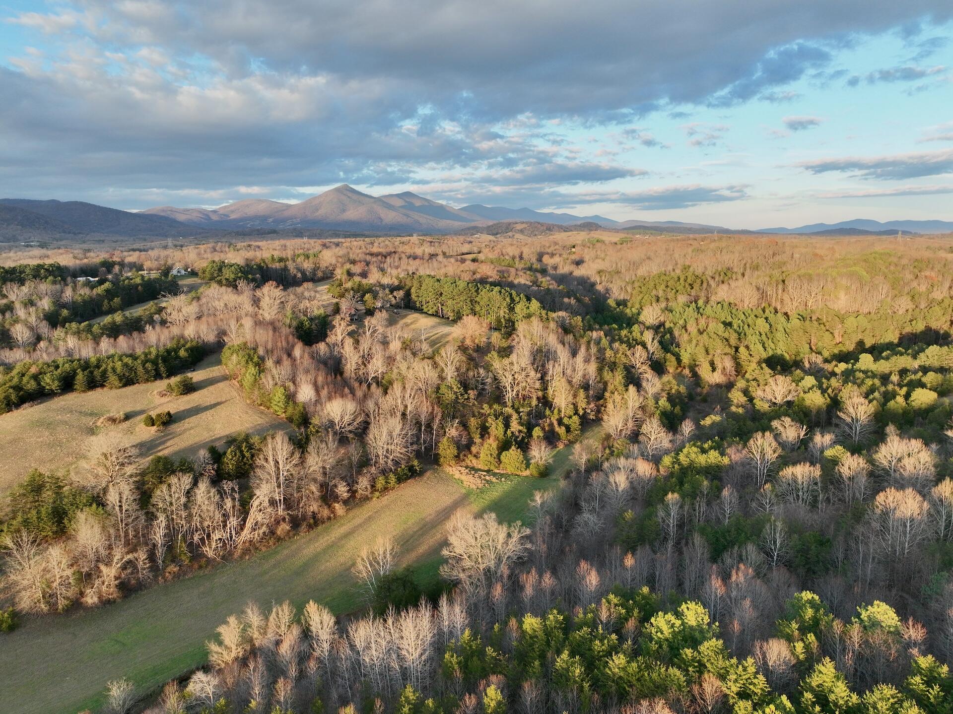 2743 Johnson School Rd, Thaxton, Virginia image 1