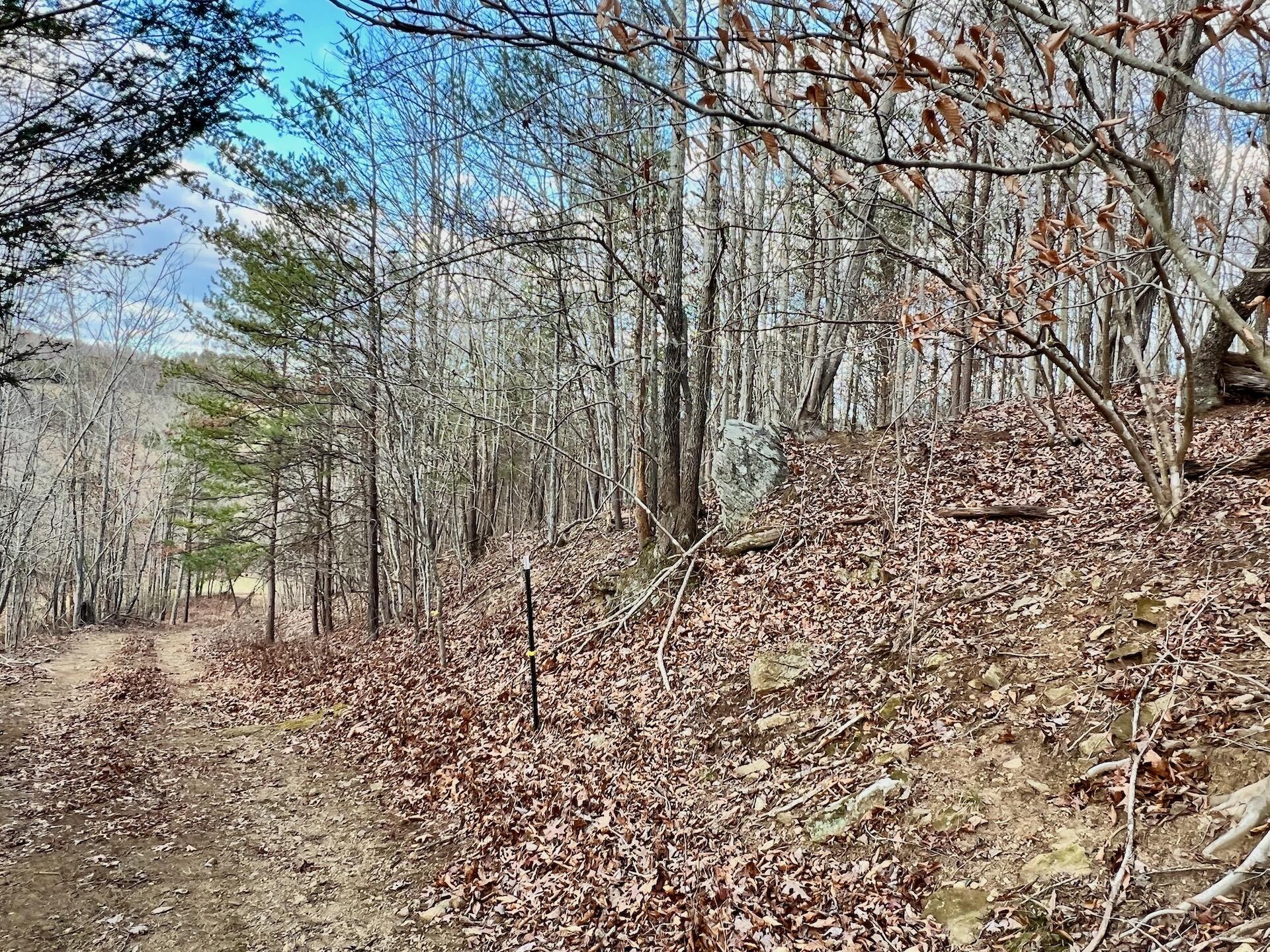 2743 Johnson School Rd, Thaxton, Virginia image 40