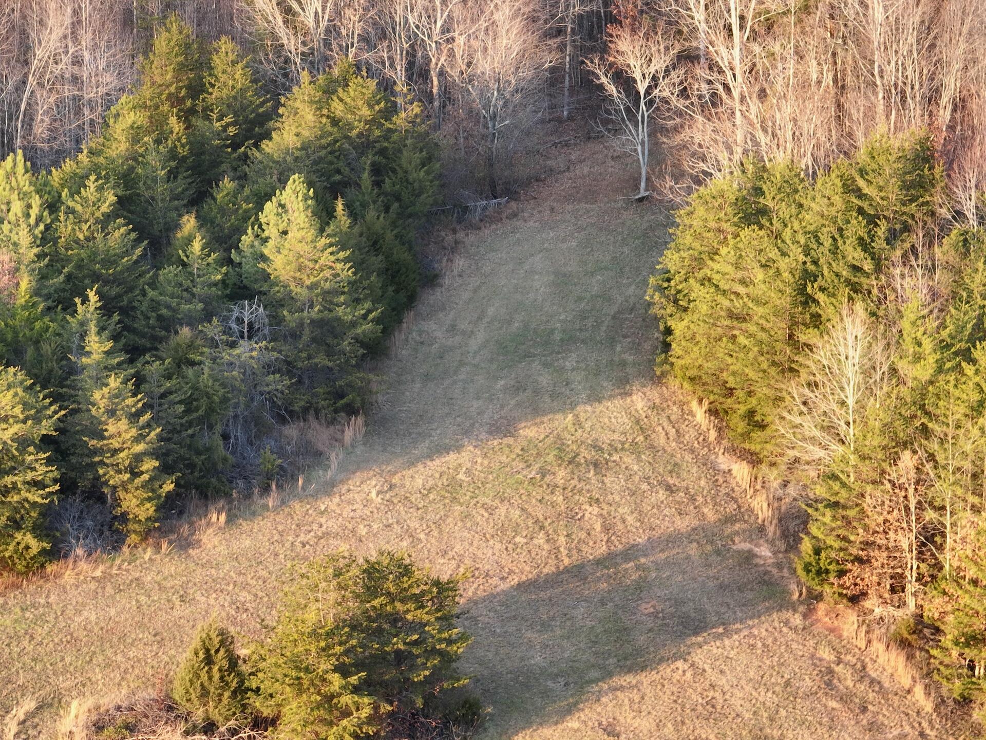 2743 Johnson School Rd, Thaxton, Virginia image 41