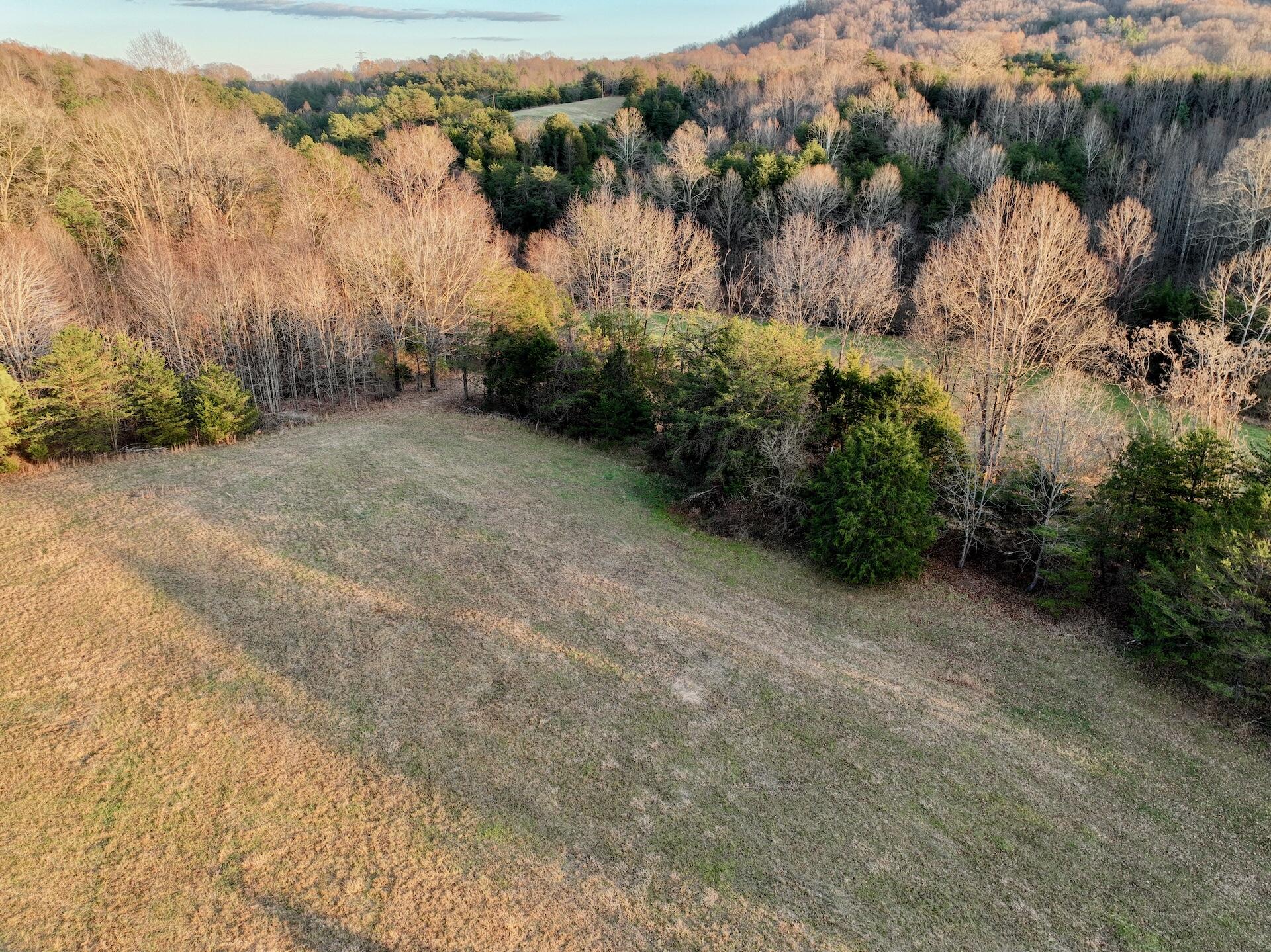 2743 Johnson School Rd, Thaxton, Virginia image 9