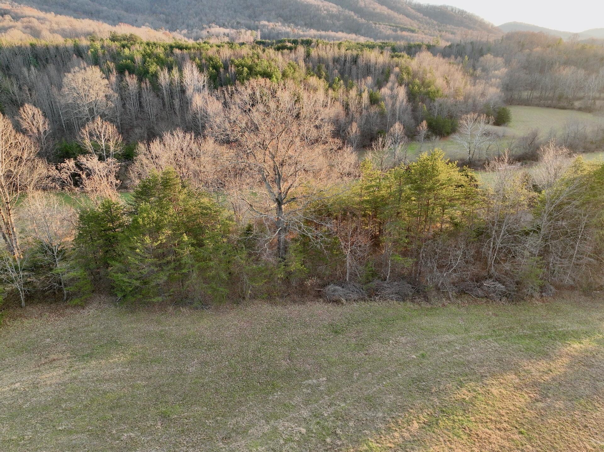 2743 Johnson School Rd, Thaxton, Virginia image 3