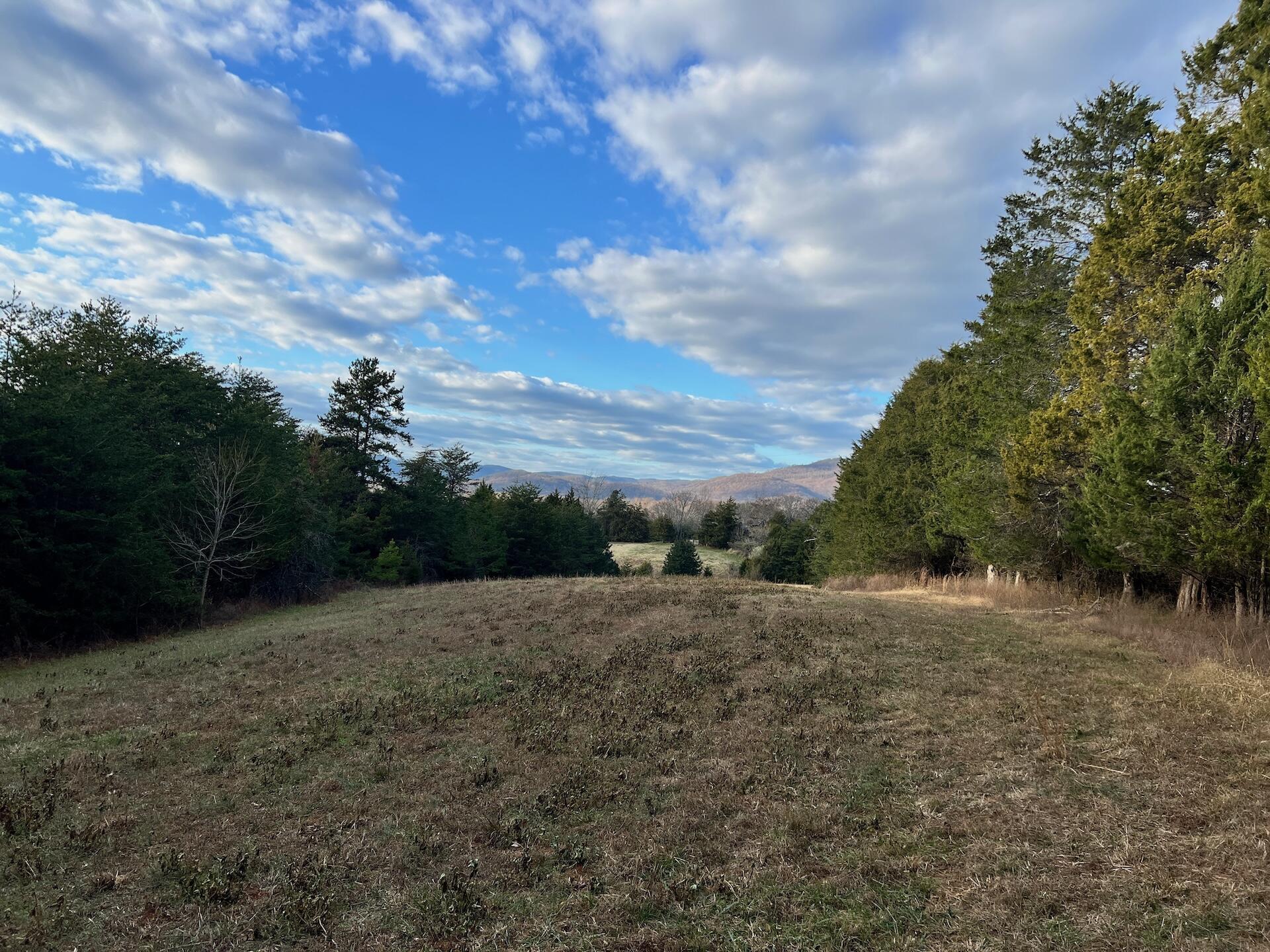 2743 Johnson School Rd, Thaxton, Virginia image 5