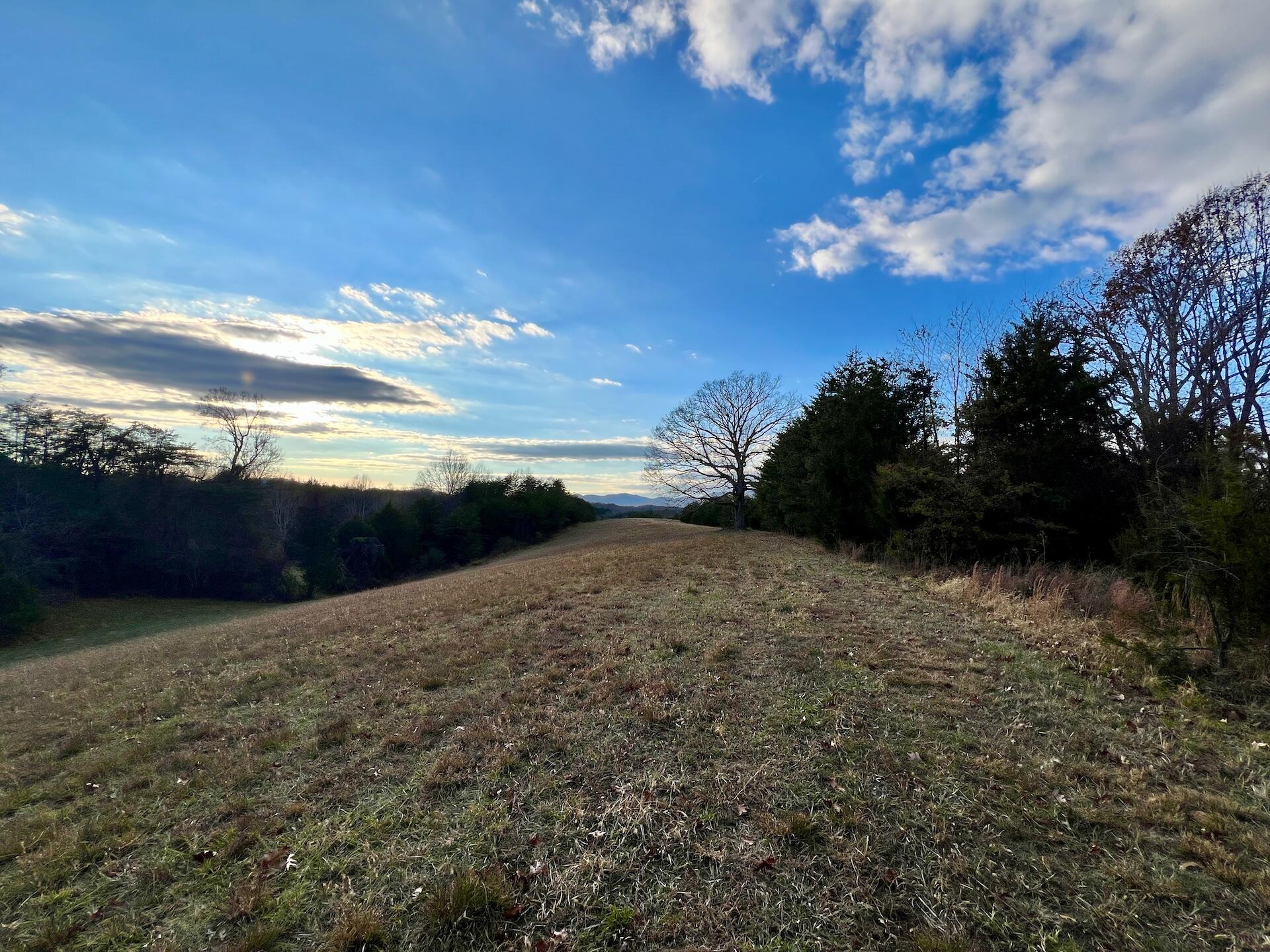 2743 Johnson School Rd, Thaxton, Virginia image 21