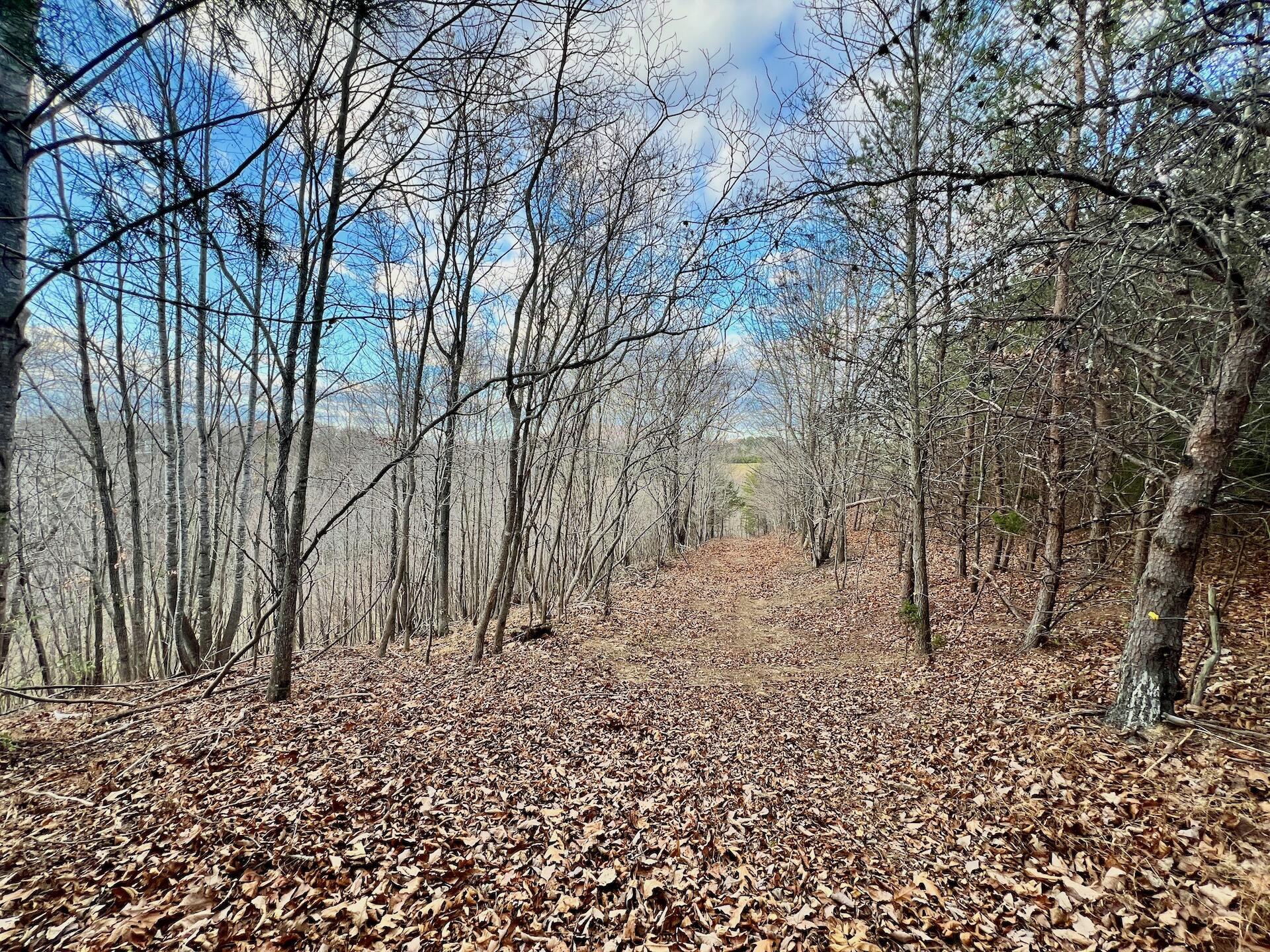 2743 Johnson School Rd, Thaxton, Virginia image 20
