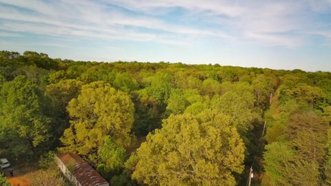 Vacant Land For Sale - 1315 Penn Hollow Rd<br/> Moneta, VA 24121