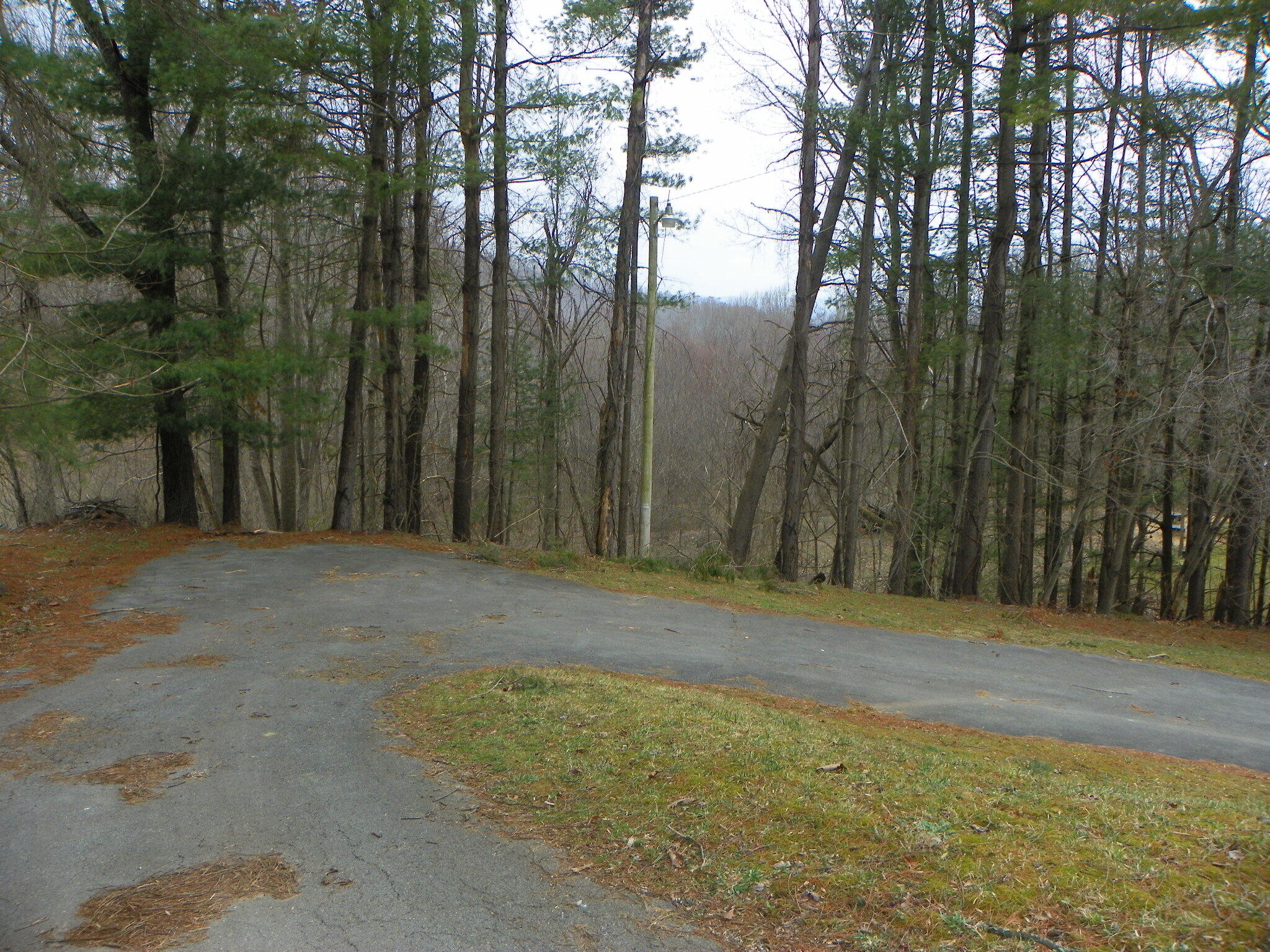 464 Pugh Mountain Rd, Marion, Virginia image 36