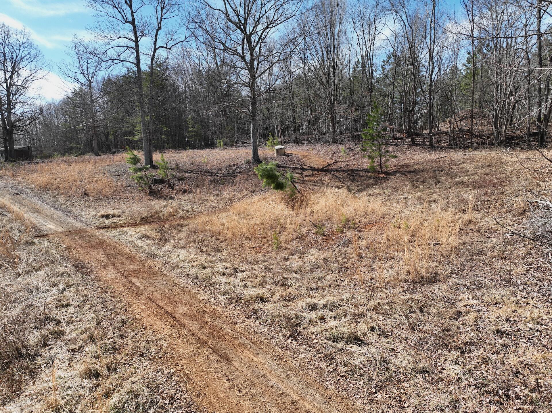 128 Green Oak Ln, Patrick Springs, Virginia image 9