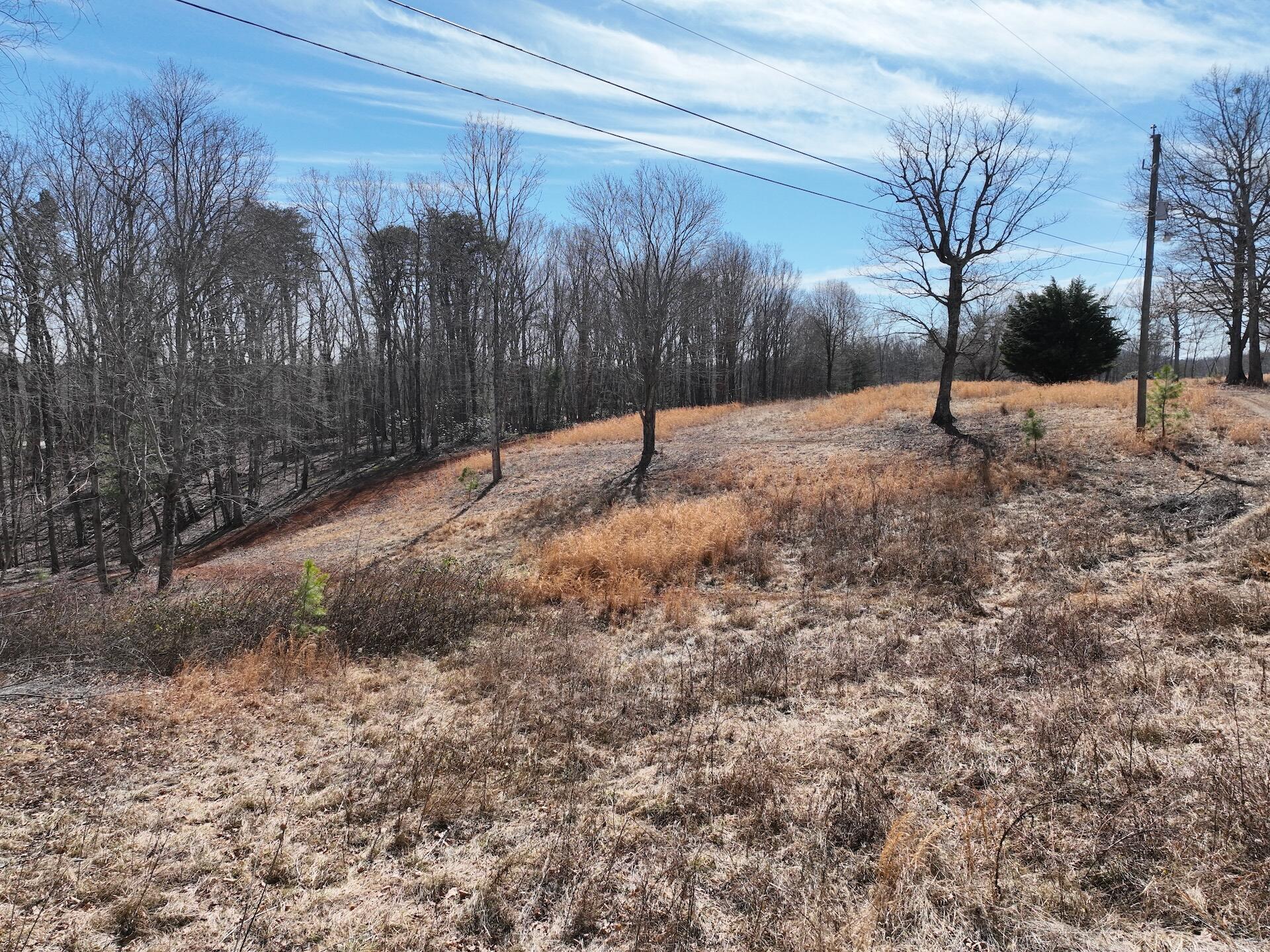 128 Green Oak Ln, Patrick Springs, Virginia image 10
