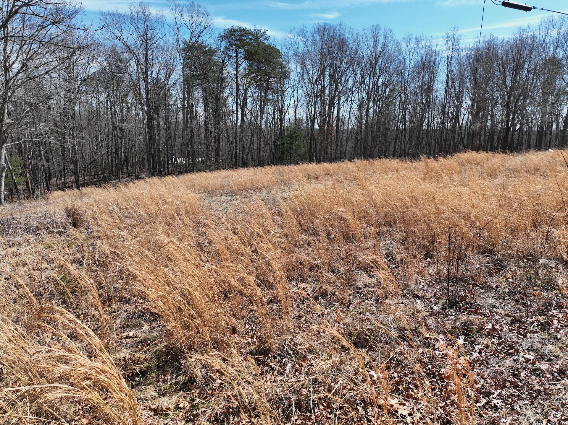 128 Green Oak Ln, Patrick Springs, Virginia image 14
