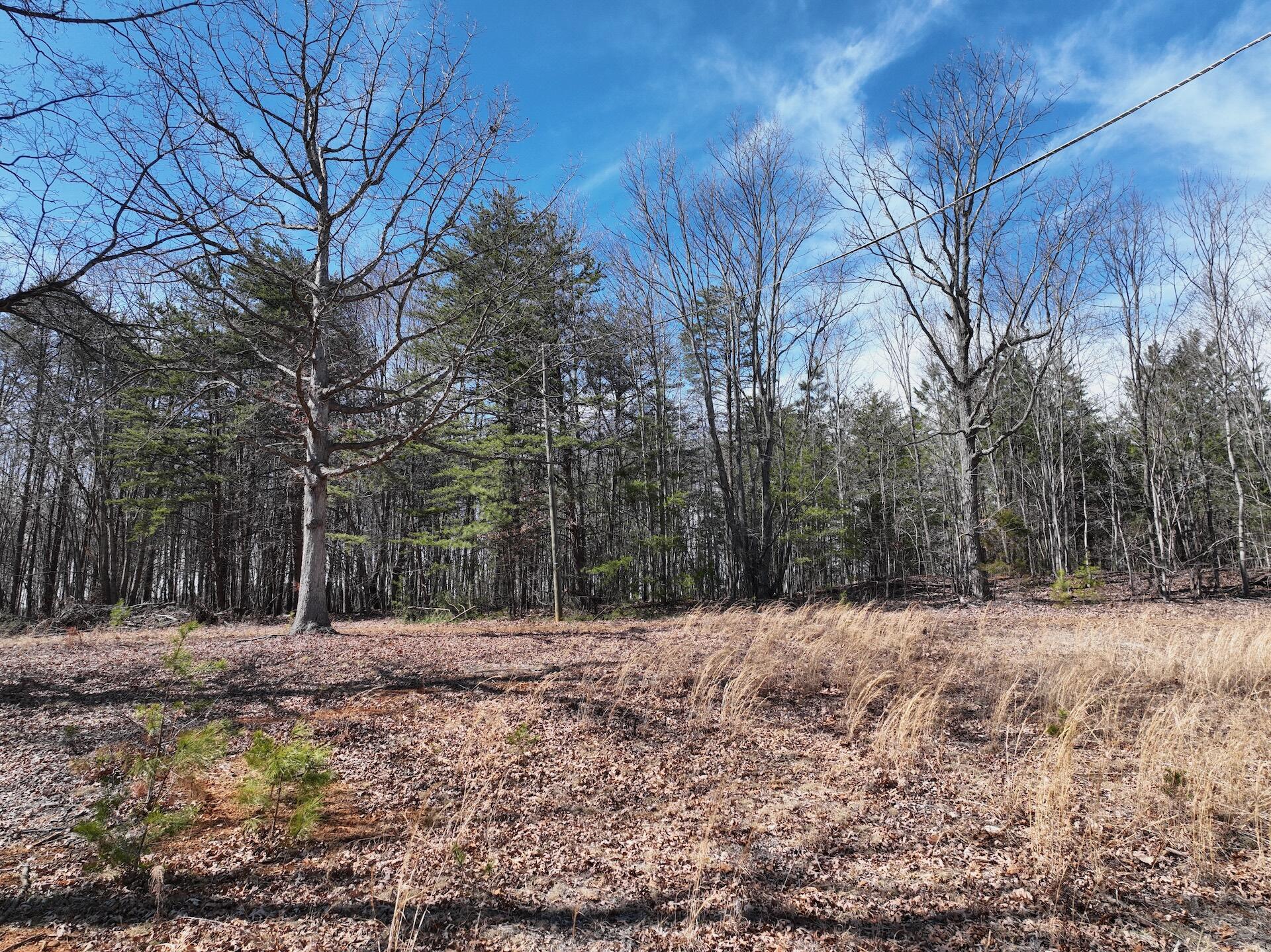 128 Green Oak Ln, Patrick Springs, Virginia image 13