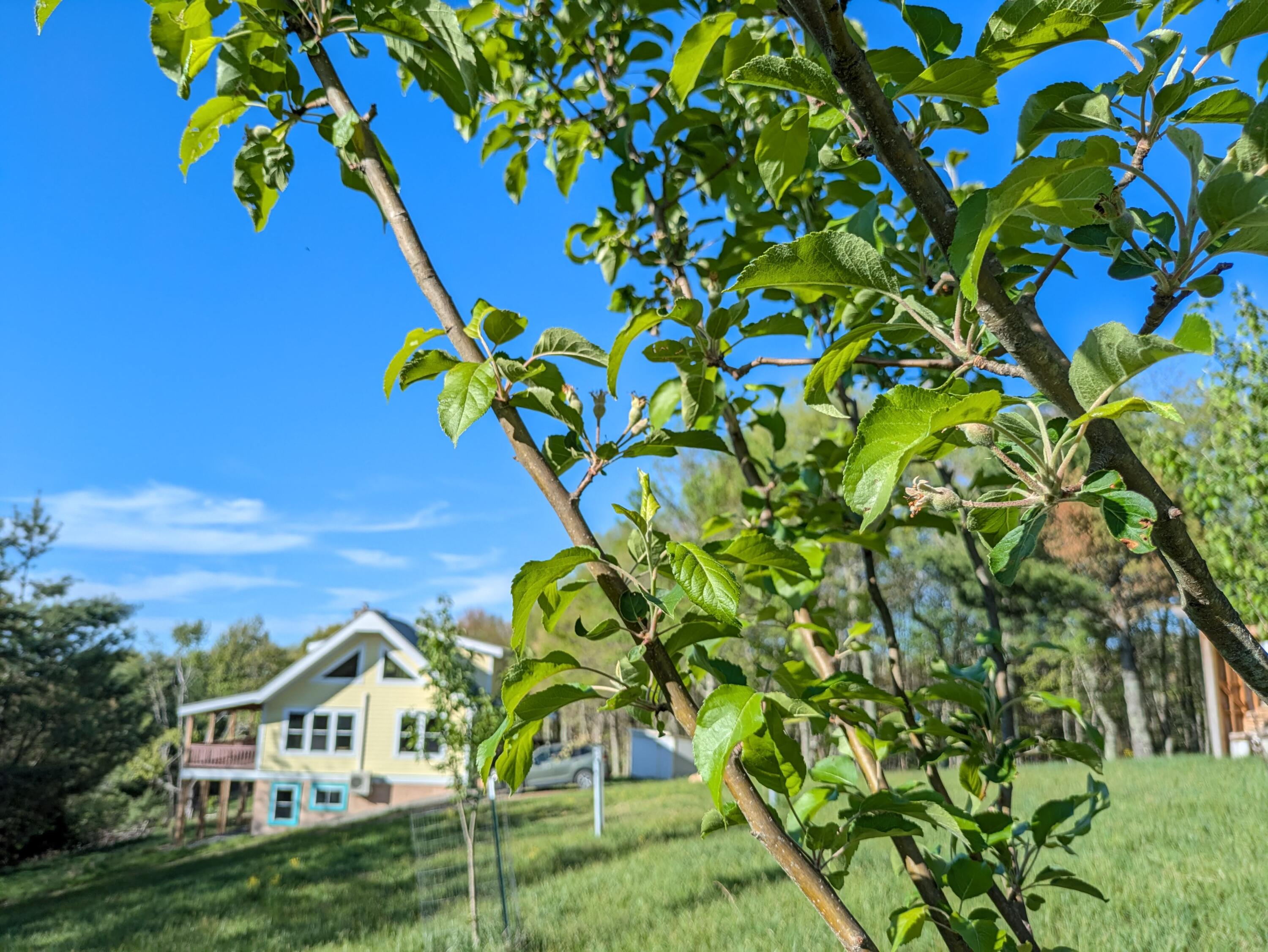475 Loss Bent Rd, Riner, Virginia image 7