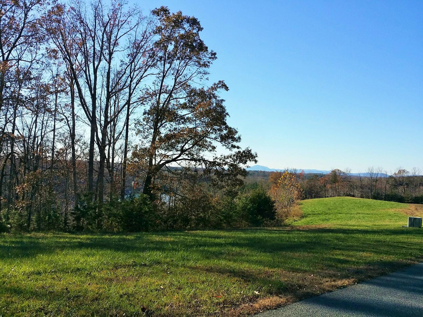 Lot 41 Sassafras Ct, Moneta, Virginia image 2