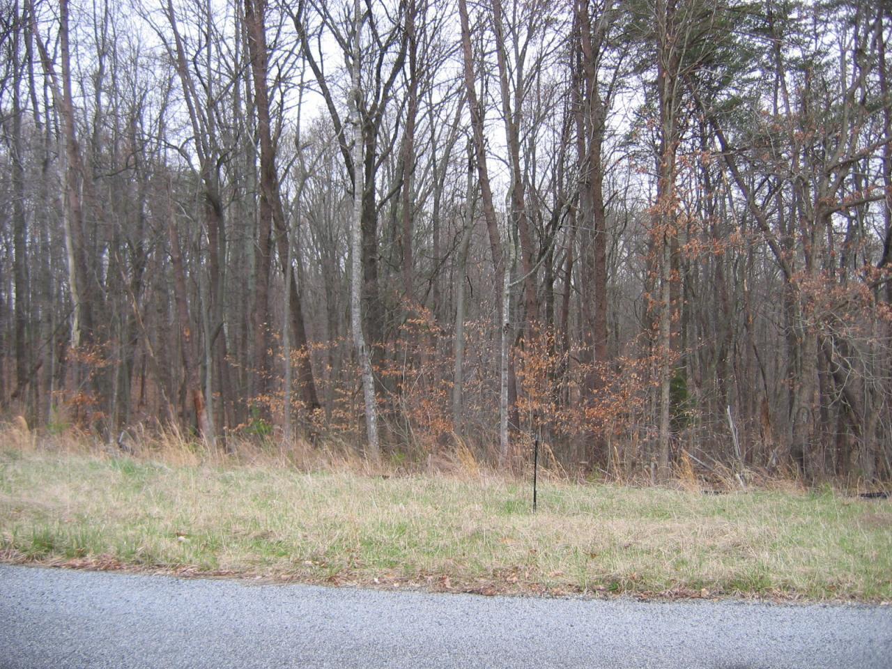 Lot 41 Sassafras Ct, Moneta, Virginia image 4