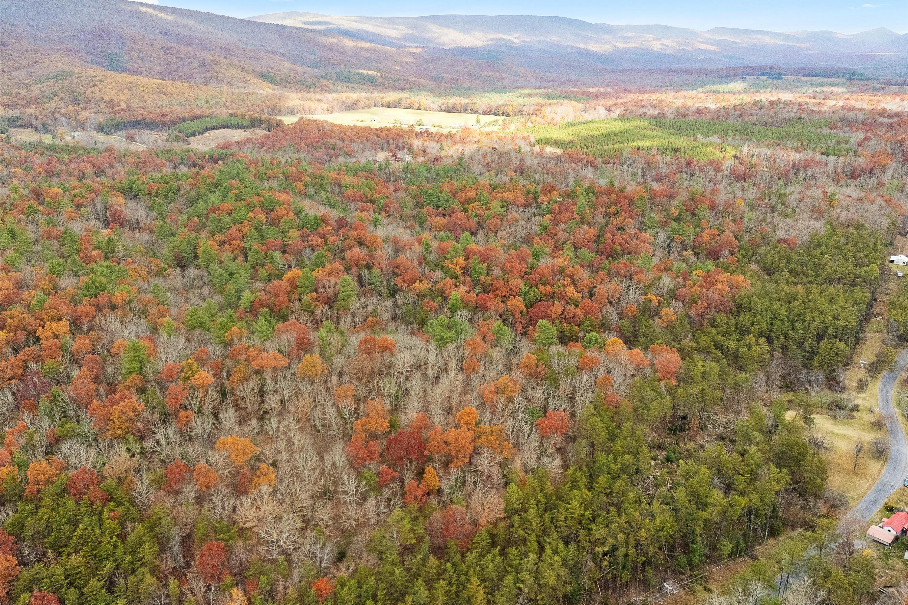 Peaceful Valley Rd, New Castle, Virginia image 6