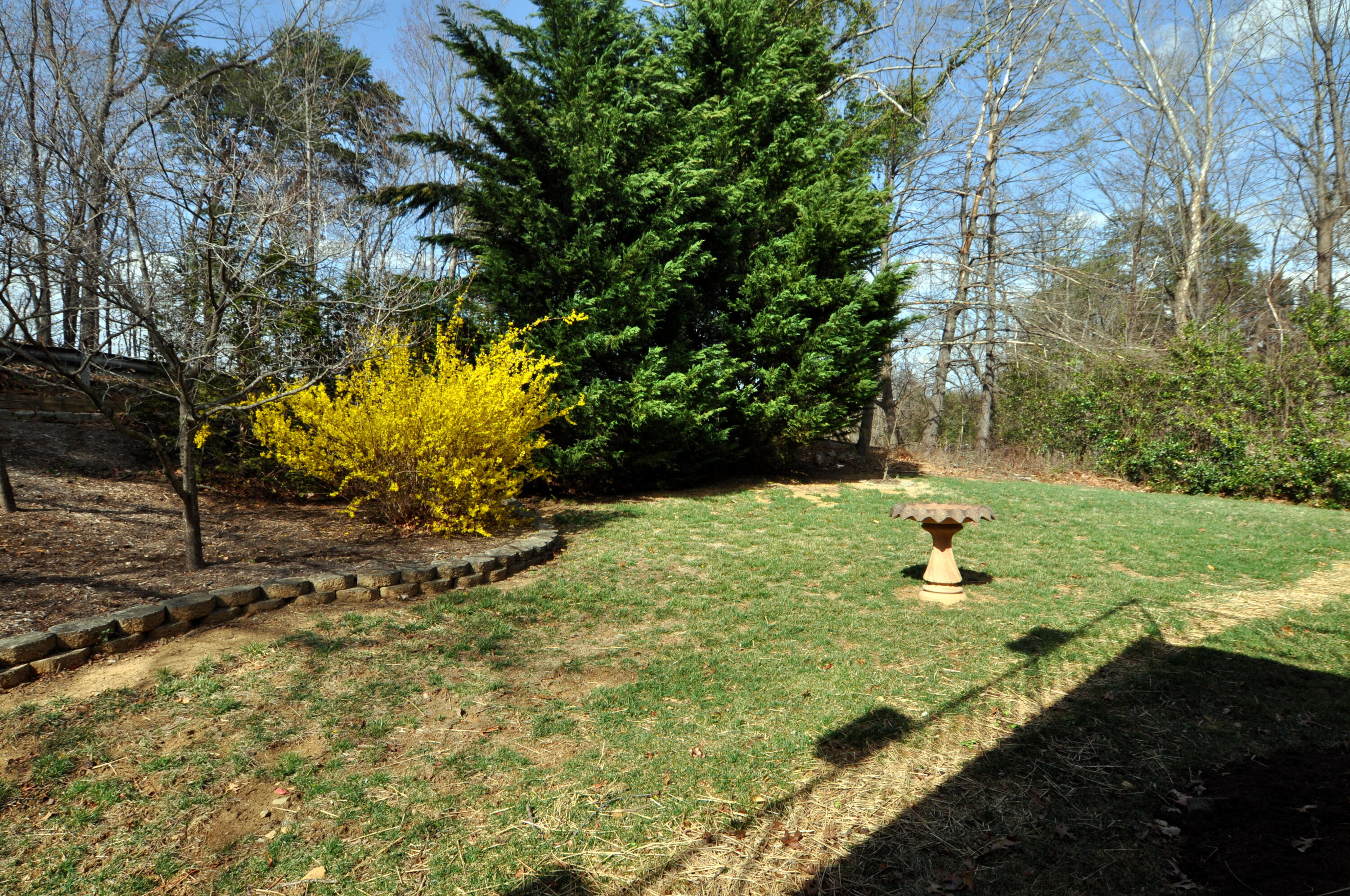 3370 Kelly Lane Ext, Roanoke, Virginia image 17