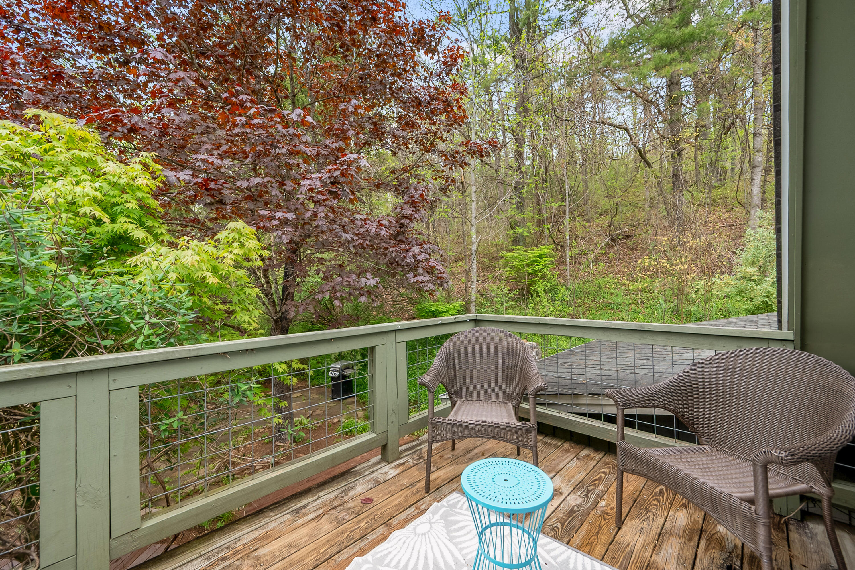 1053 Thomas Farm Rd, Floyd, Virginia image 47
