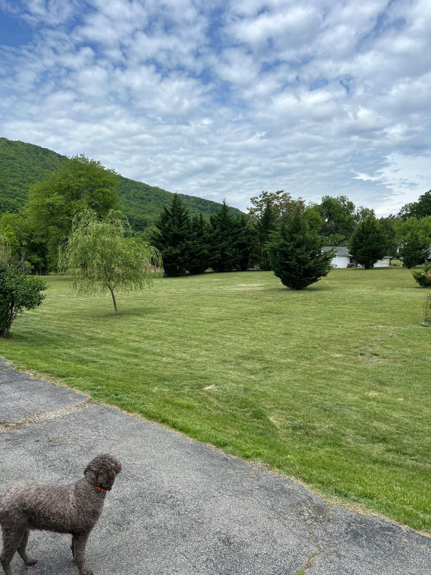 Cowman Rd, Roanoke, Virginia image 3