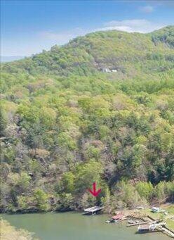 Lot 112 Bailey Blvd, Hardy, Virginia image 2