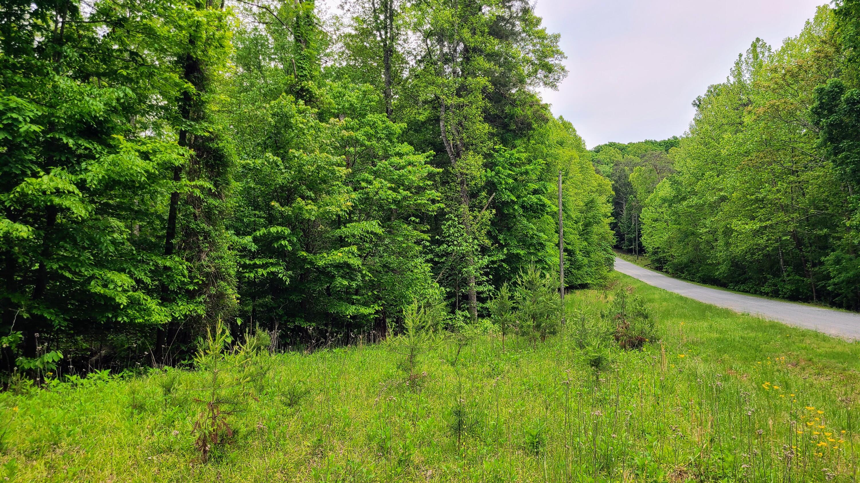 Lot 23 Moss Meadows Dr, Pittsville, Virginia image 1