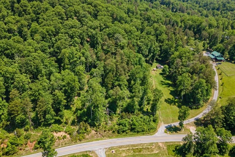 Vacant Land For Sale - 533 Coopers Cove Rd Rd<br/> Hardy, VA 24101