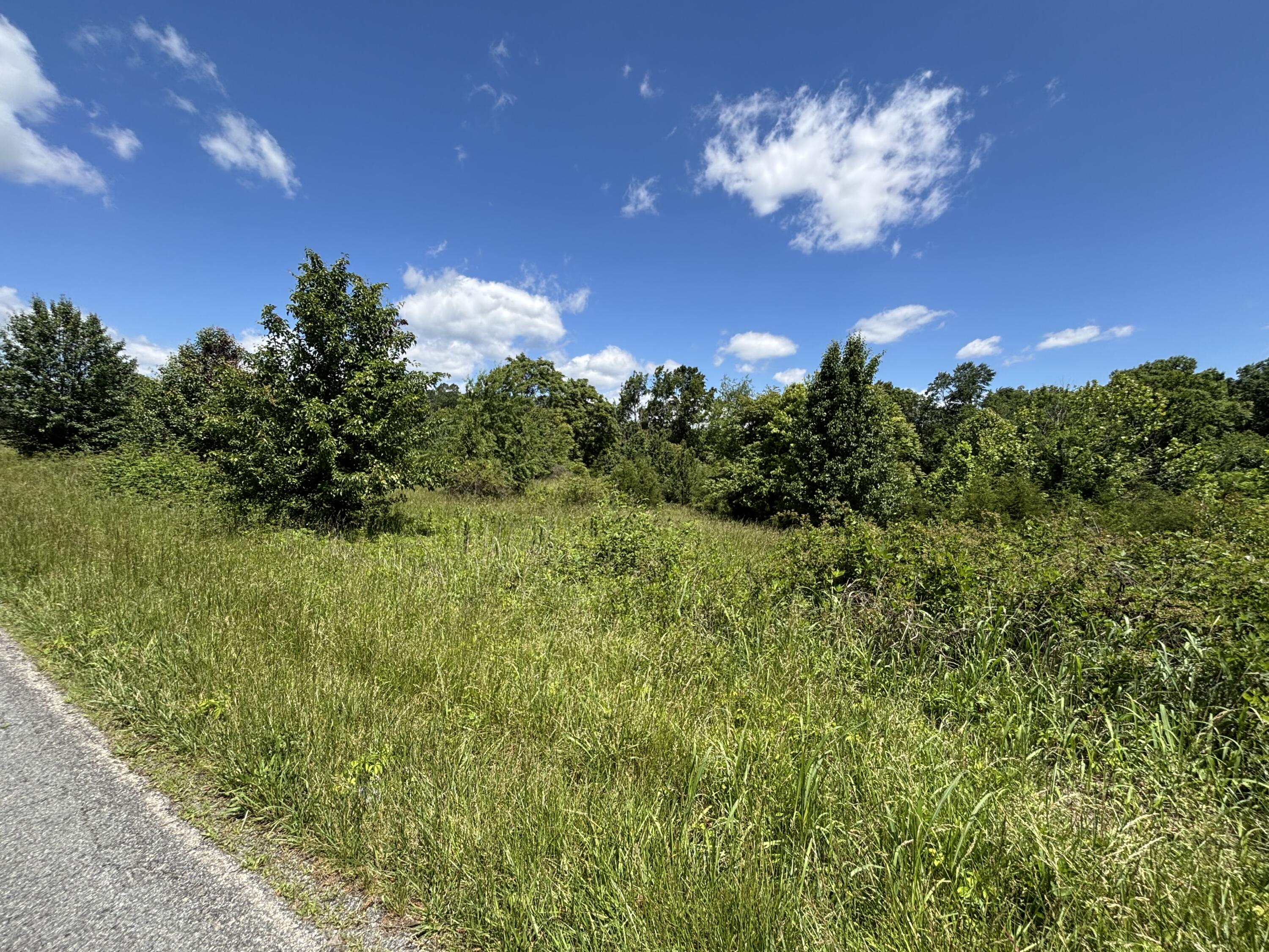 Retreat Rd, Boones Mill, Ohio image 1