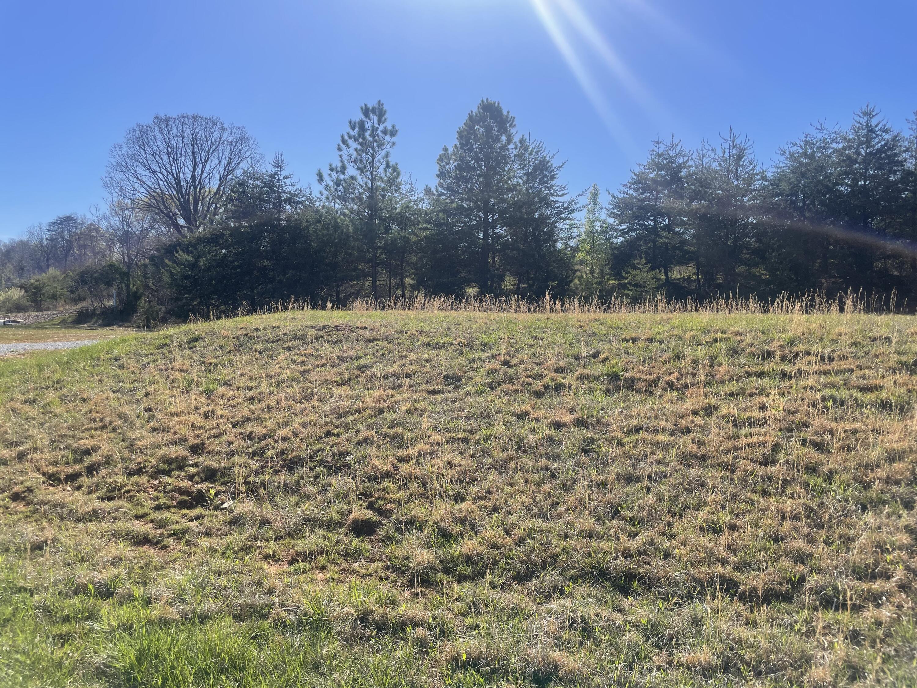 Lot 19 Barrow Hills Drive, Huddleston, Virginia image 3