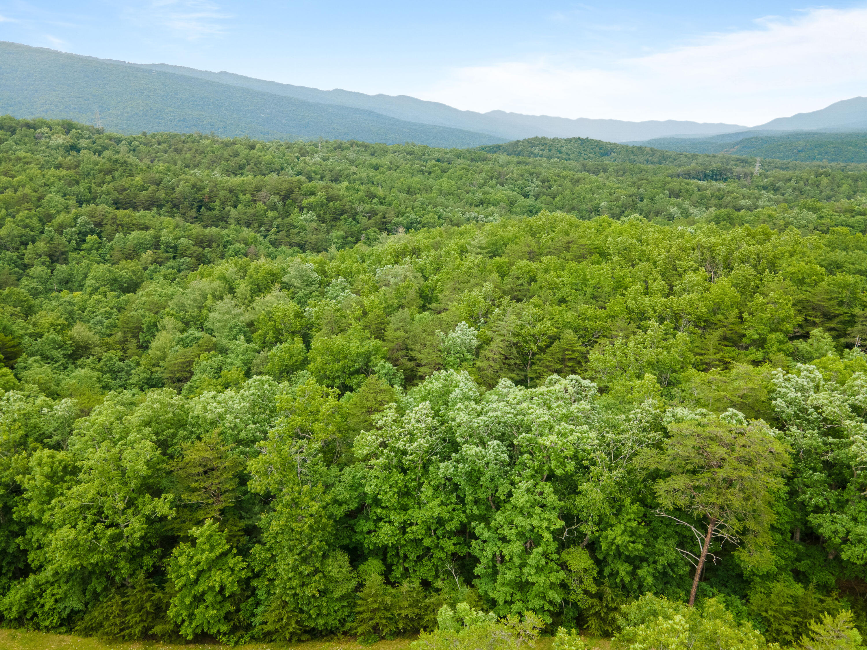 Lindsey Dr, Elliston, Virginia image 8