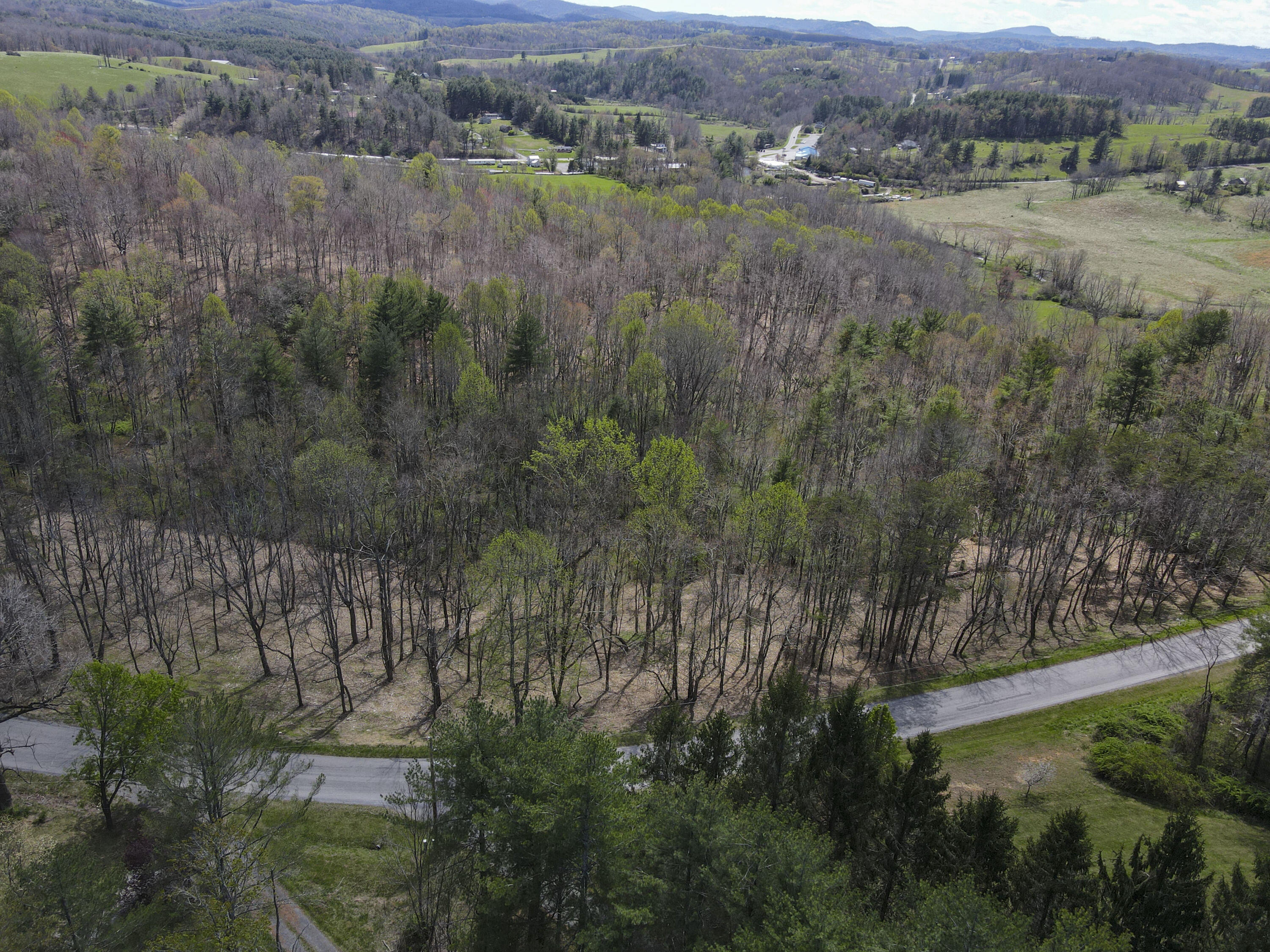 Tract B Penn Rd, Floyd, Virginia image 8