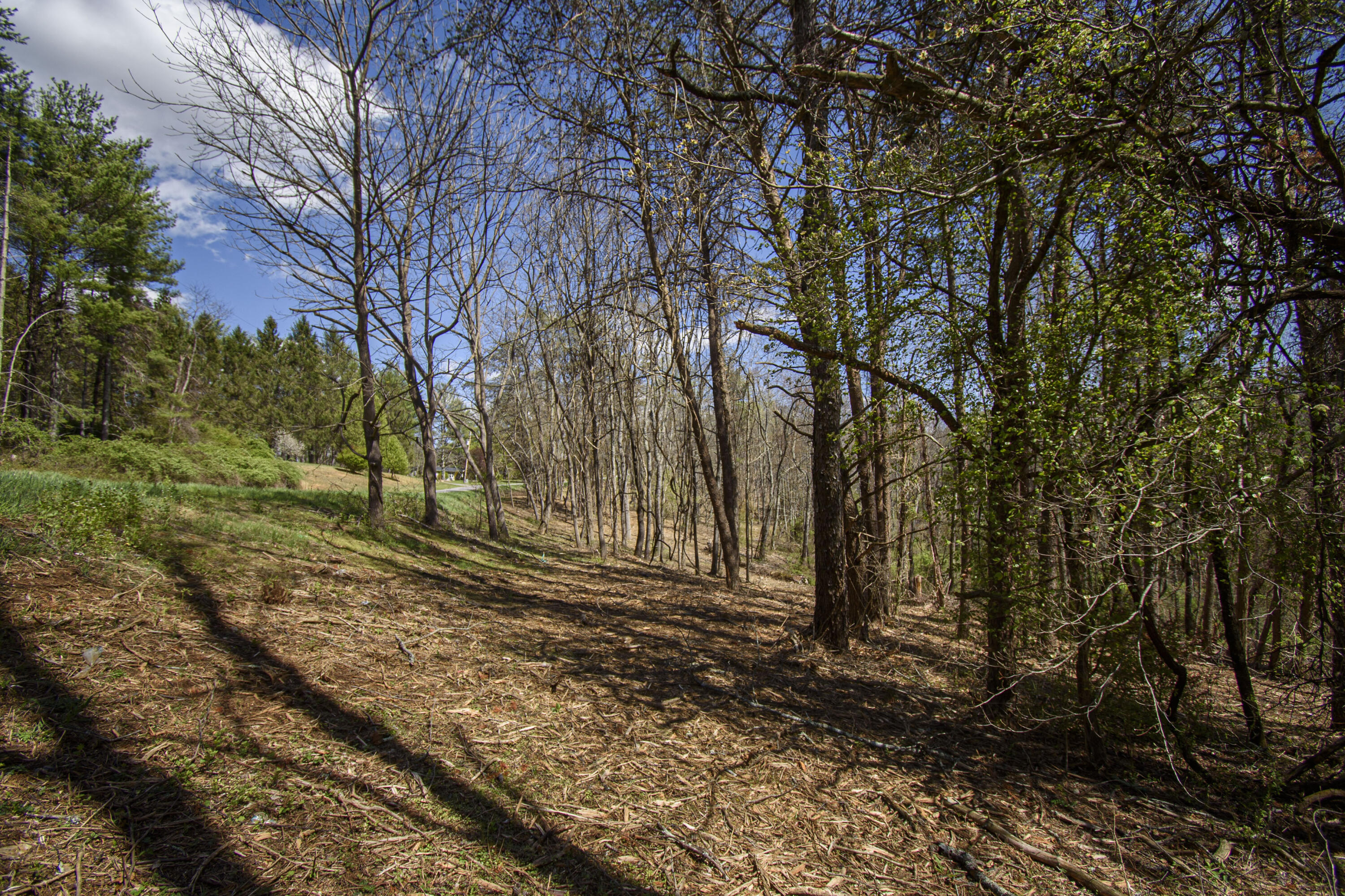 Tract B Penn Rd, Floyd, Virginia image 4