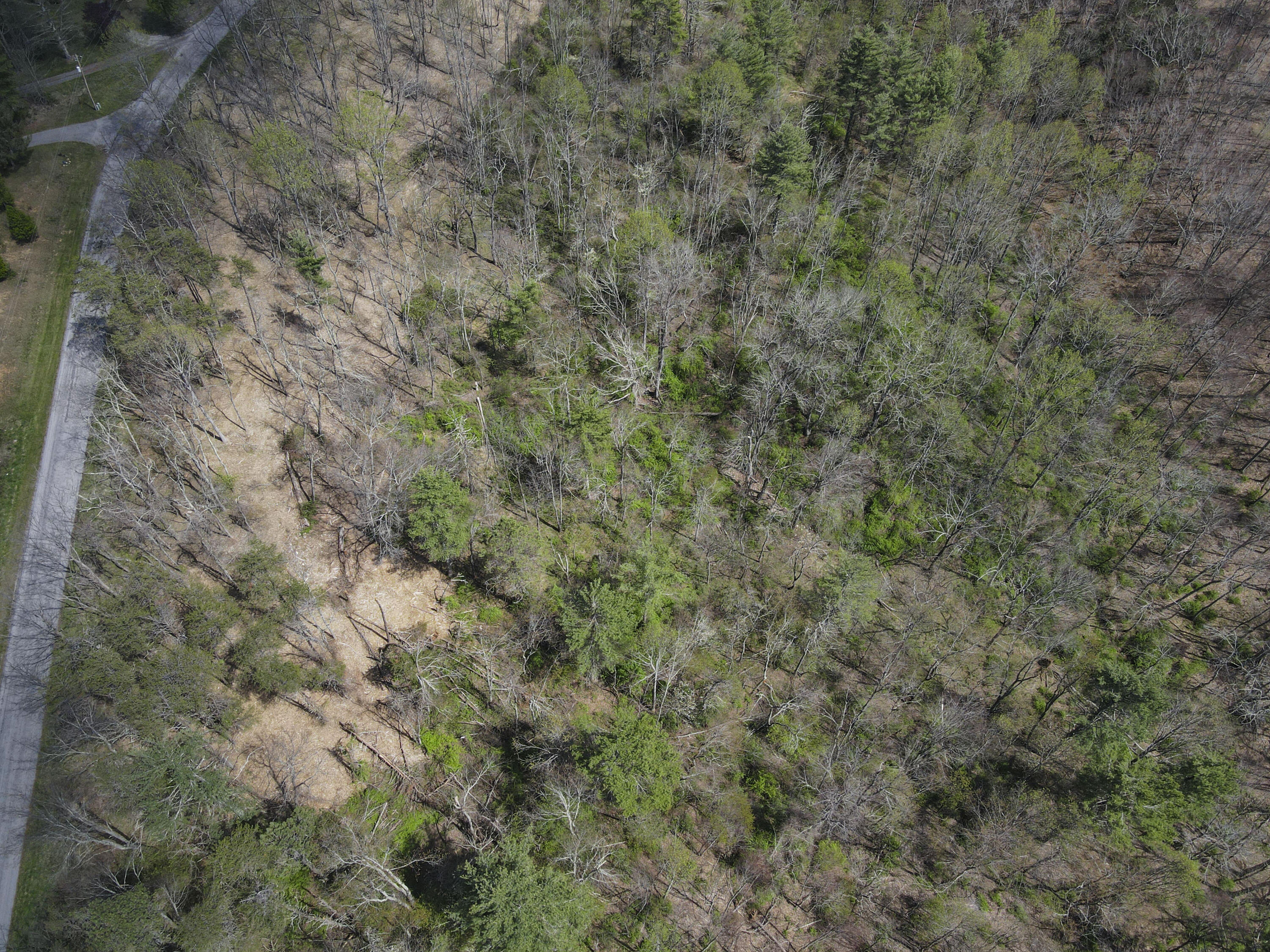Tract B Penn Rd, Floyd, Virginia image 7