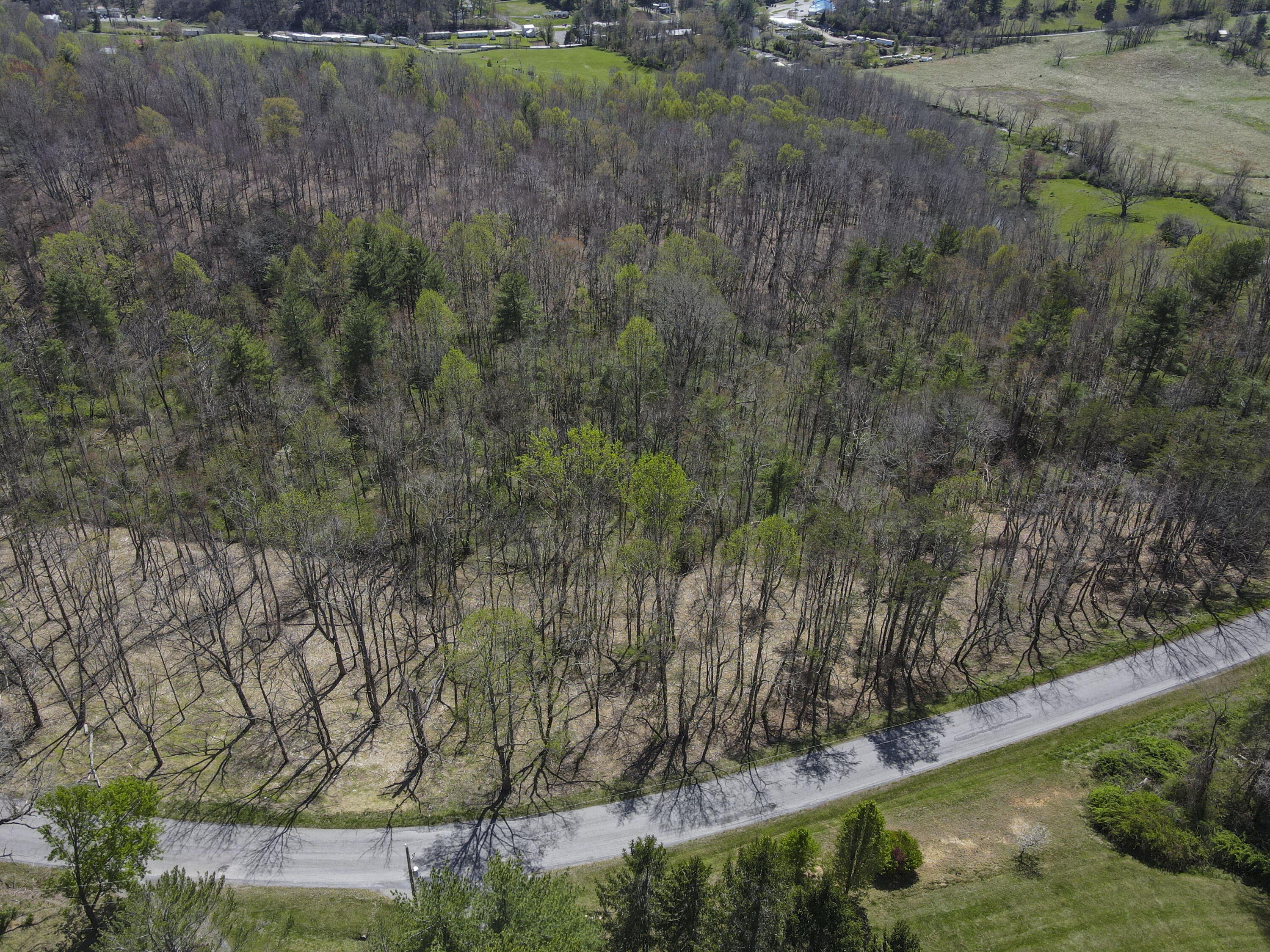 Tract B Penn Rd, Floyd, Virginia image 6